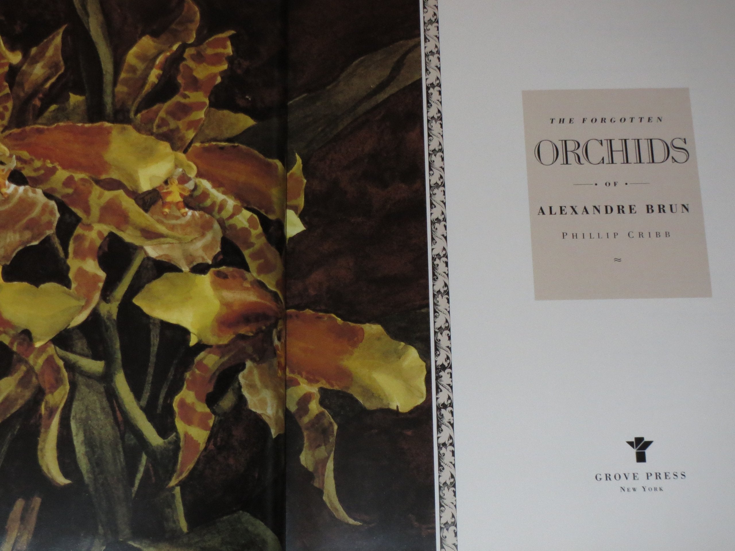 The Forgotten Orchids of Alexandre Brun,New