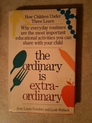 The Ordinary Is Extraordinary,New