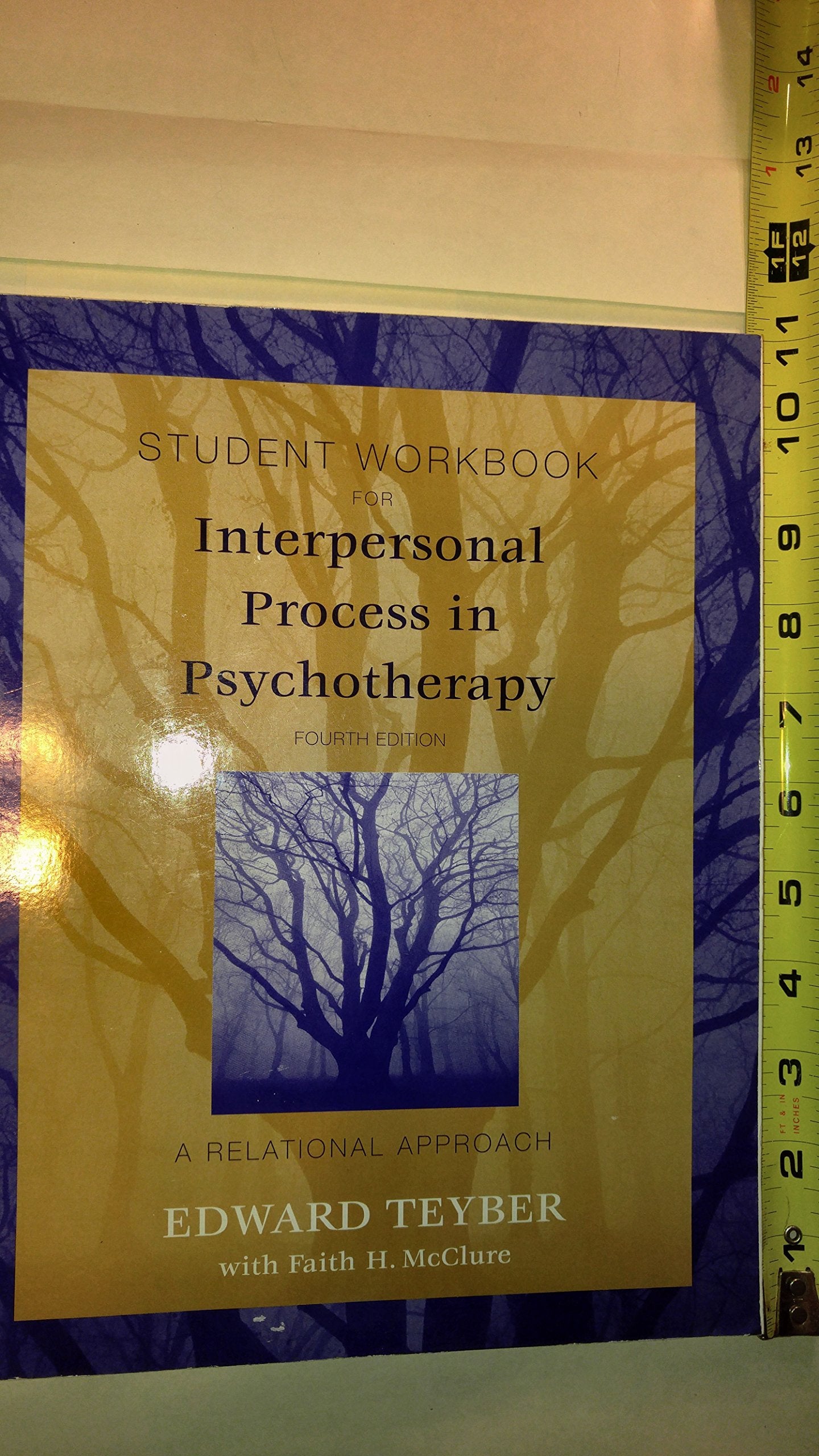 Interpersonal Process In Psychotherapy, Student Workbook,Used