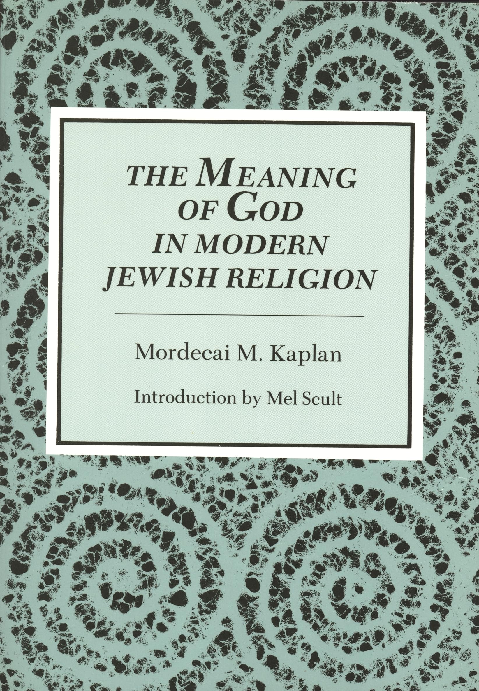 The Meaning of God in Modern Jewish Religion,Used
