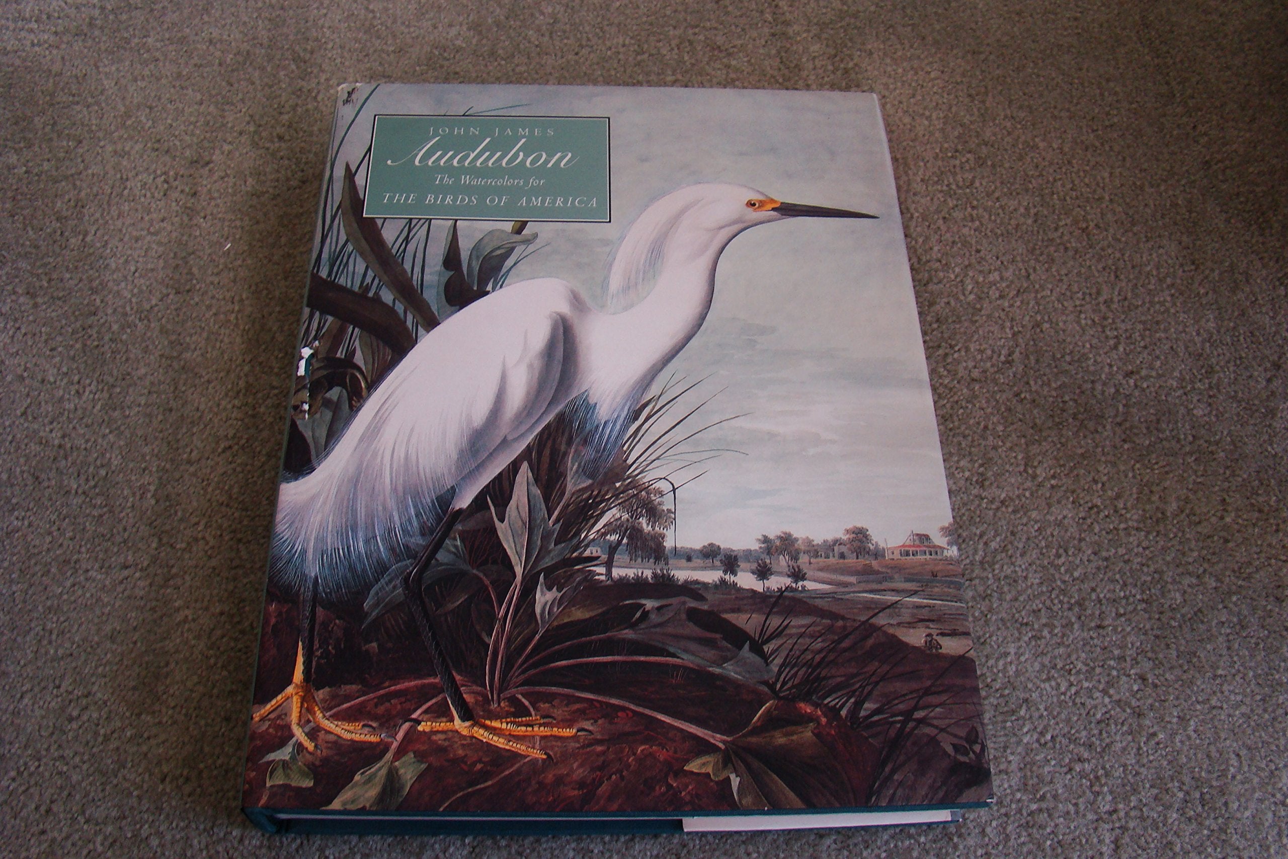 John James Audubon: The Watercolors for the Birds of America,New