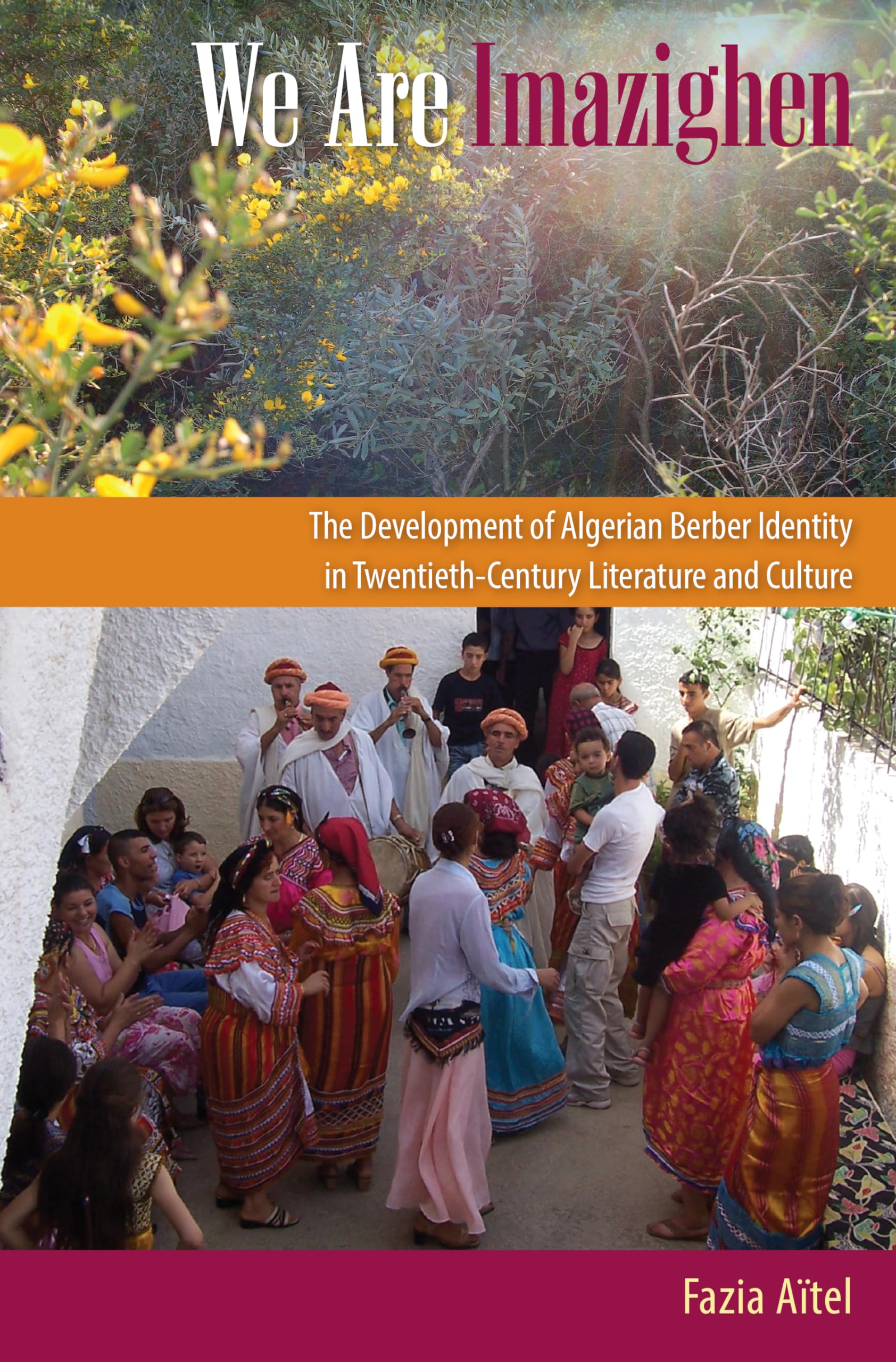 We Are Imazighen: The Development Of Algerian Berber Identity In Twentiethcentury Literature And Culture,Used