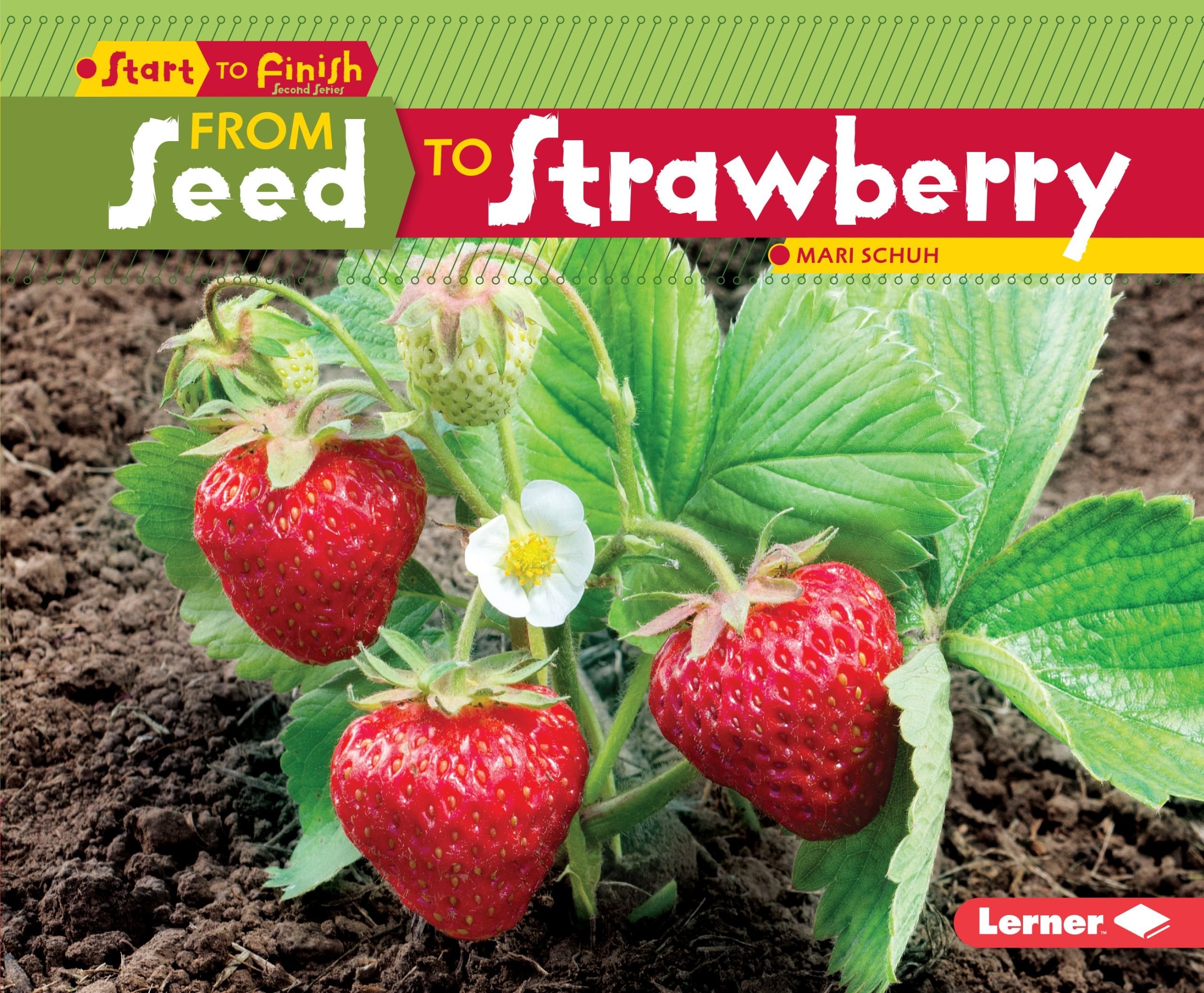 From Seed to Strawberry (Start to Finish, Second Series),Used