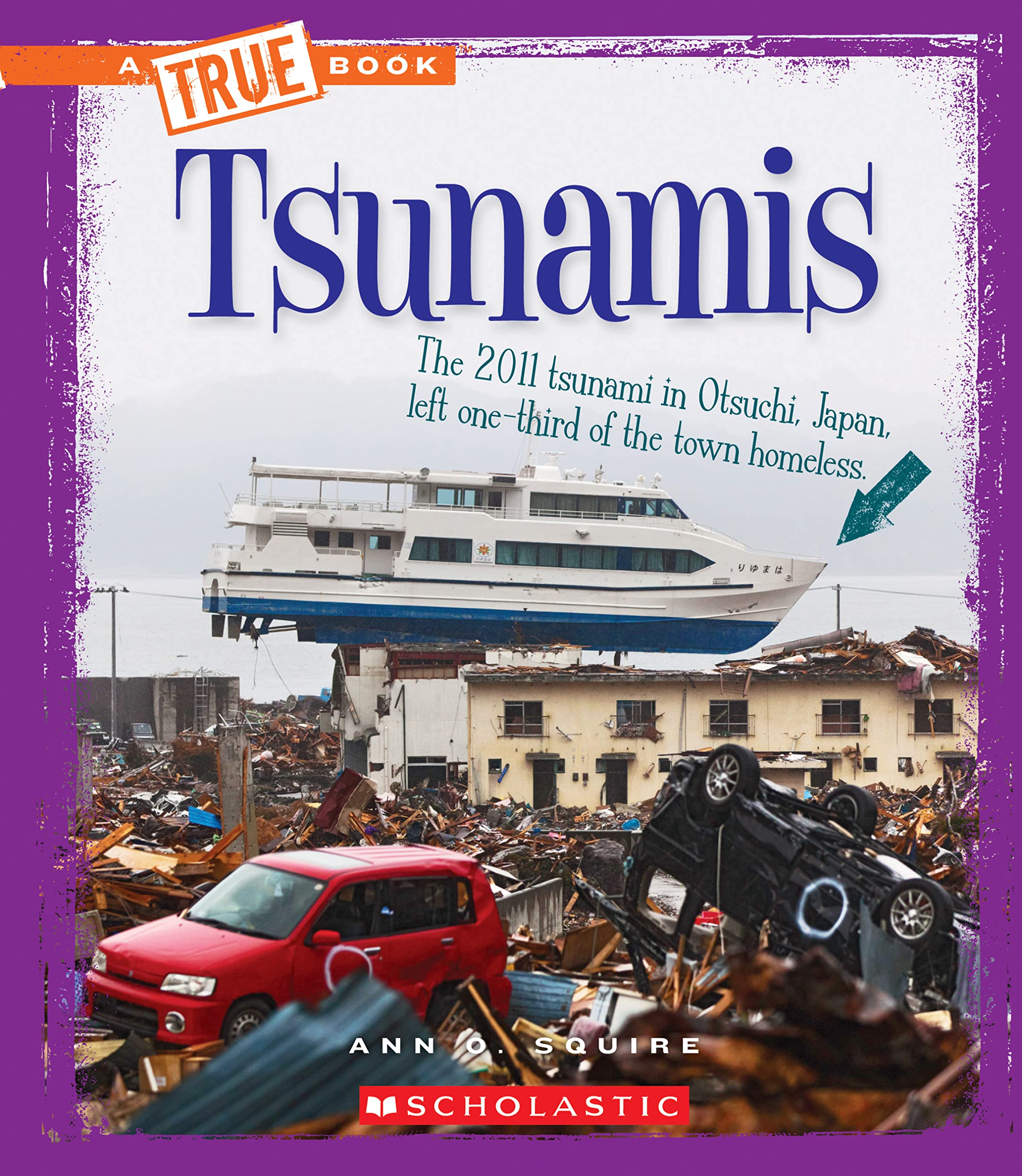 Tsunamis (A True Book: Extreme Earth),Used