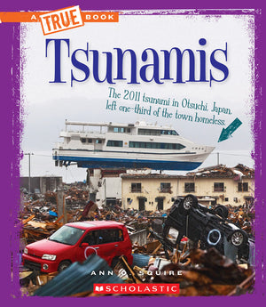 Tsunamis (A True Book: Extreme Earth),Used