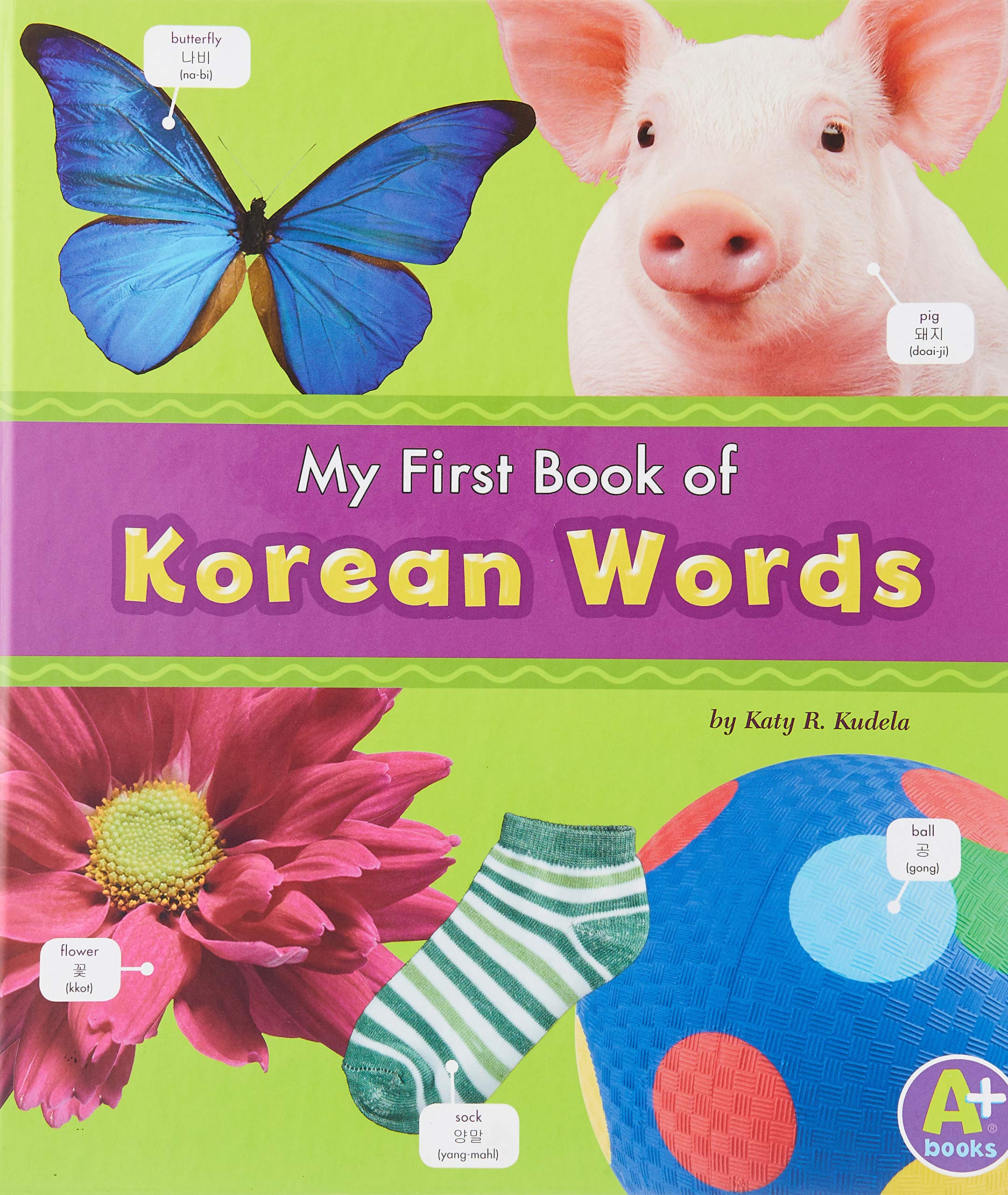 My First Book of Korean Words (Bilingual Picture Dictionaries) (English and Korean Edition),Used