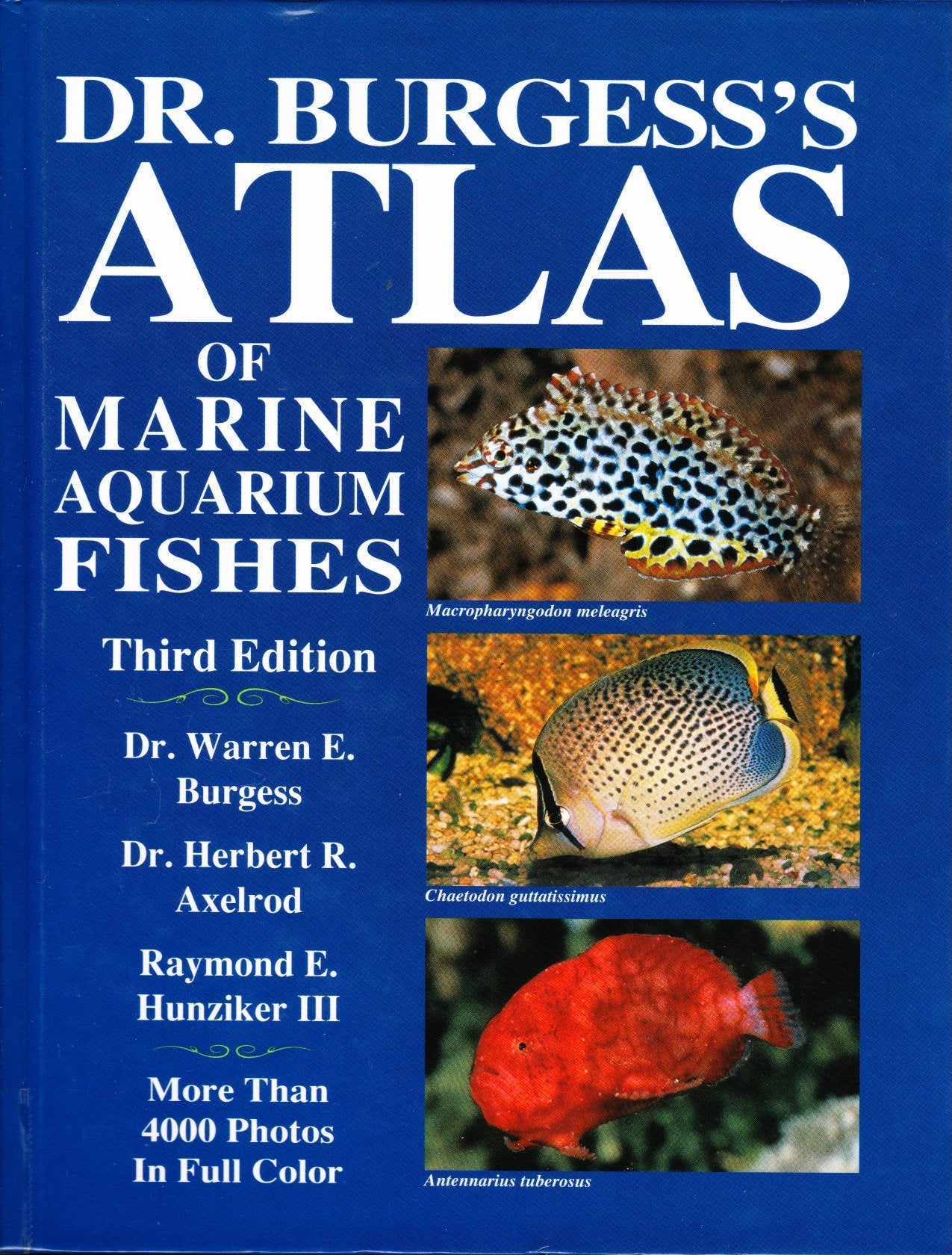 Dr Burgess's Atlas of Marine Aquarium Fishes,Used