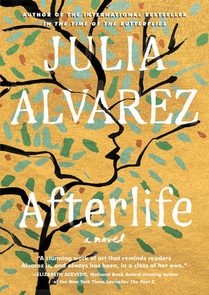 Afterlife (Thorndike Press Large Print Basic Series),Used