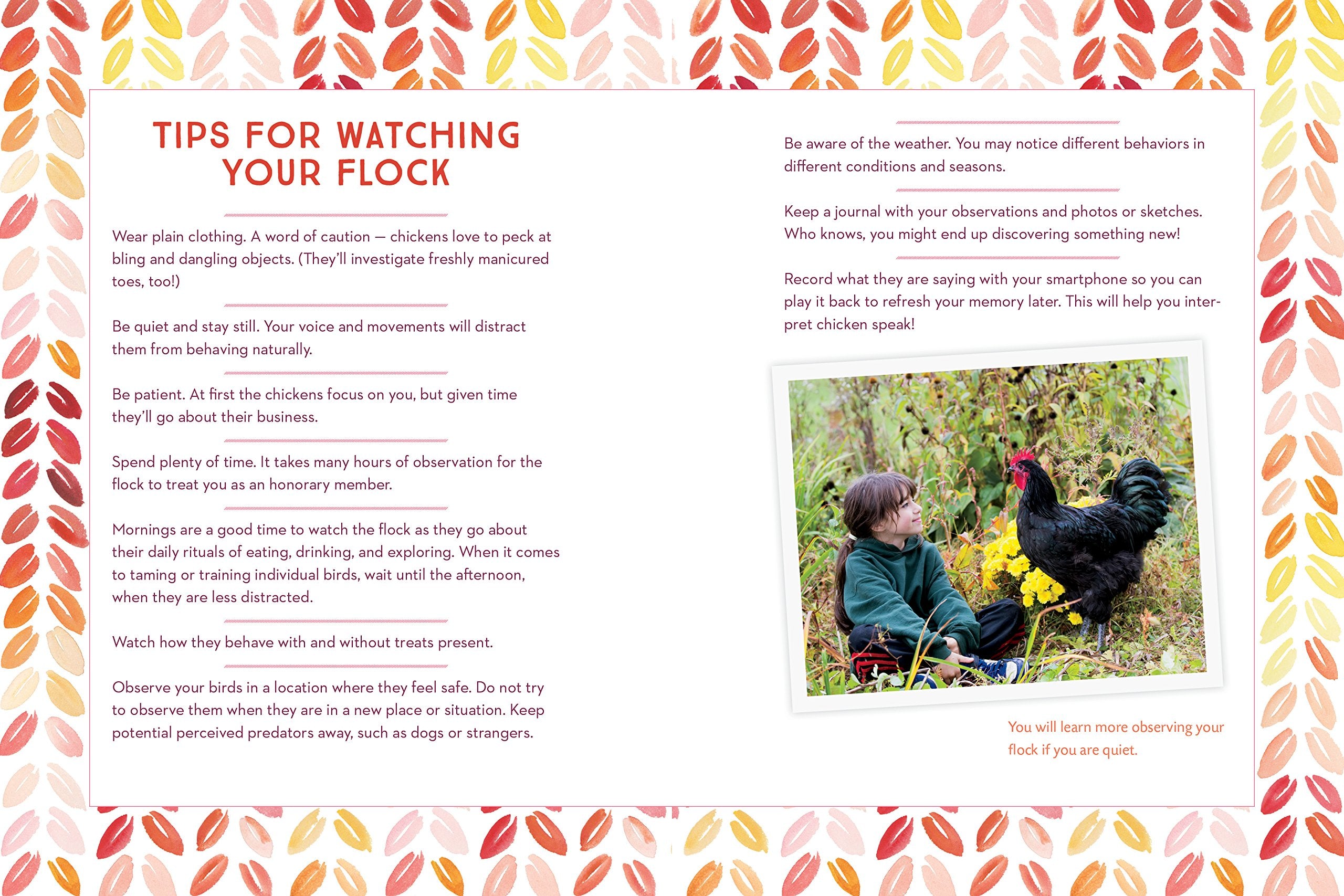 How To Speak Chicken: Why Your Chickens Do What They Do & Say What They Say