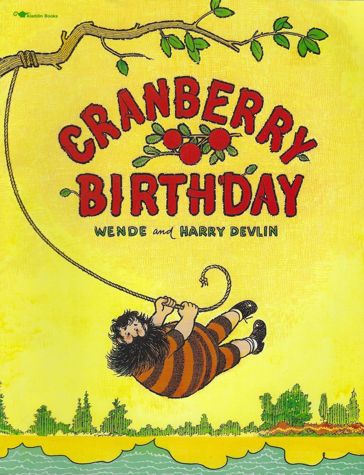 Cranberry Birthday,Used