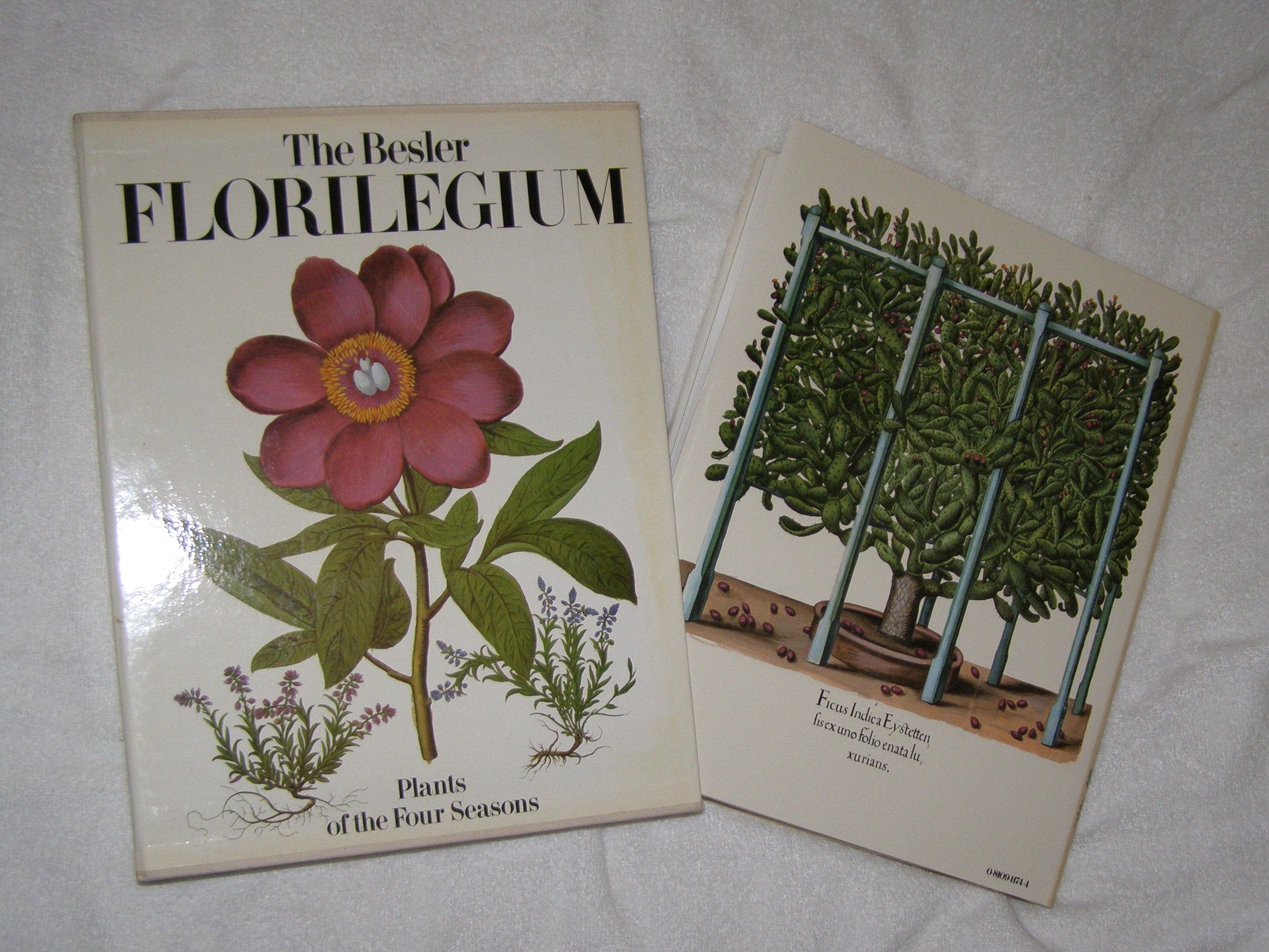 The Besler Florilegium: Plants Of The Four Seasons,New
