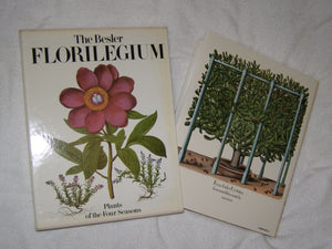 The Besler Florilegium: Plants Of The Four Seasons,New