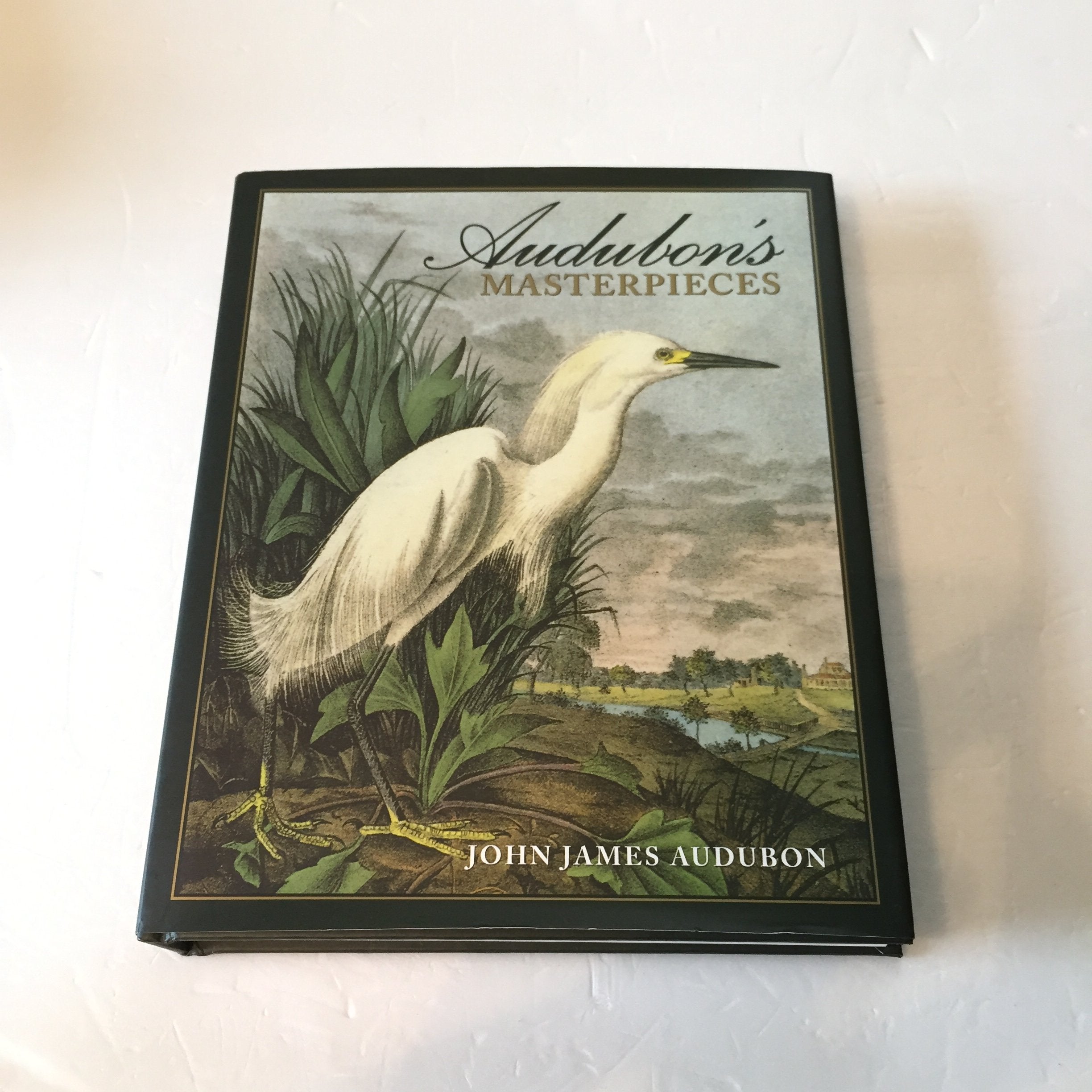 Audubon's Masterpieces: 150 Prints from the Birds of America,Used