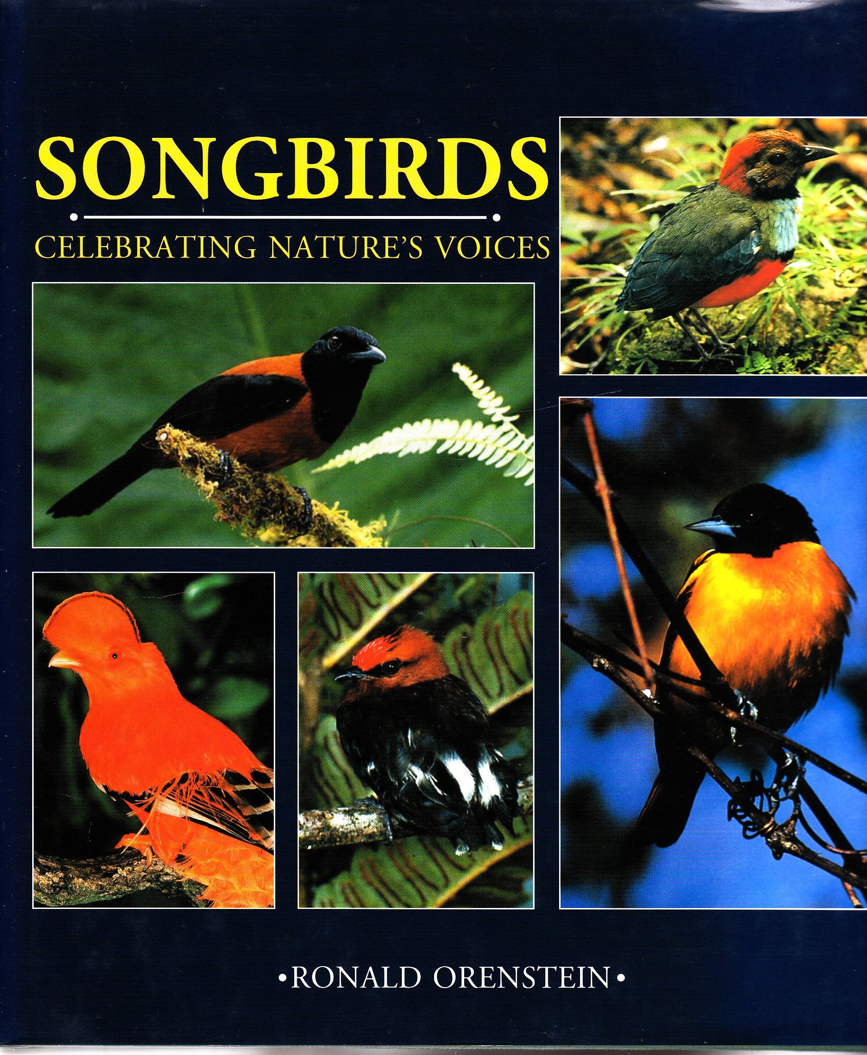 Songbirds: Celebrating Natures Voices,Used