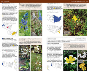 National Wildlife Federation Field Guide to Wildflowers of North America,Used