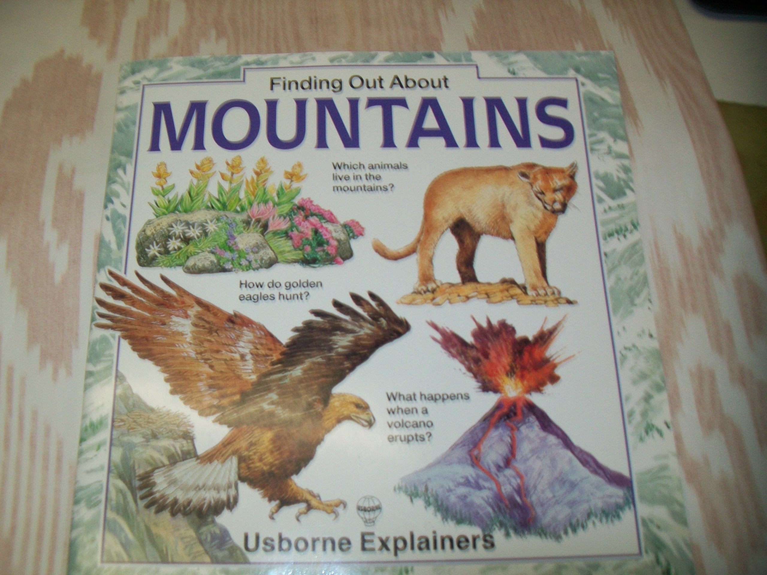Mountains (Usborne 1st Travellers),Used