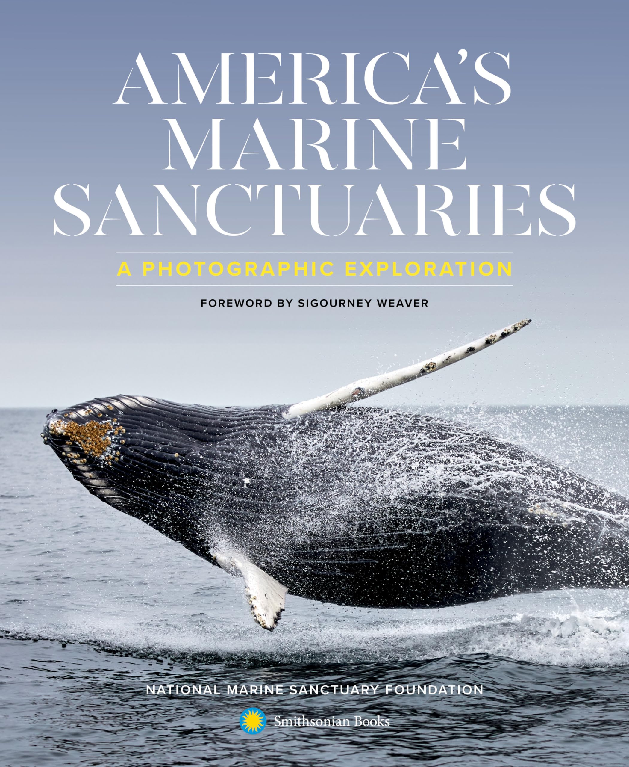 America's Marine Sanctuaries: A Photographic Exploration,Used