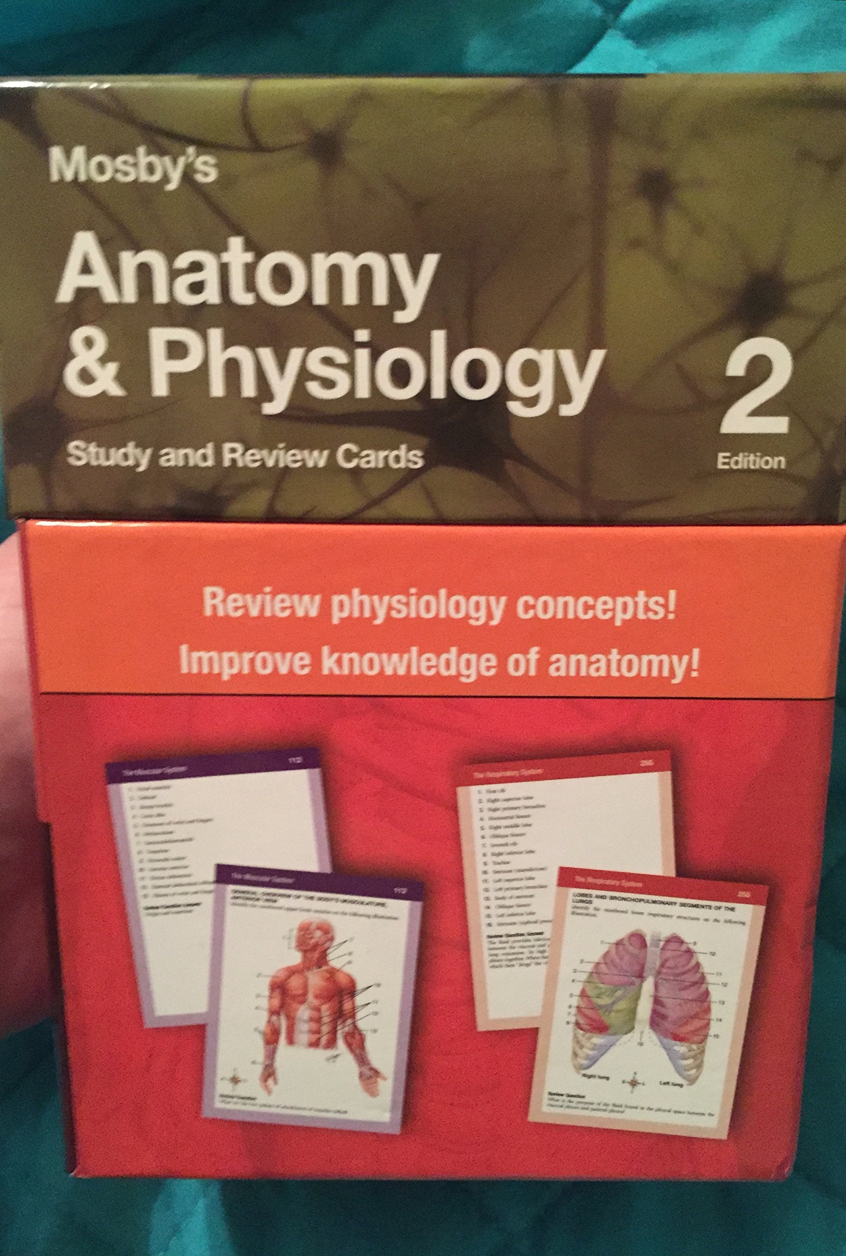 Mosby's Anatomy & Physiology Study and Review Cards,Used