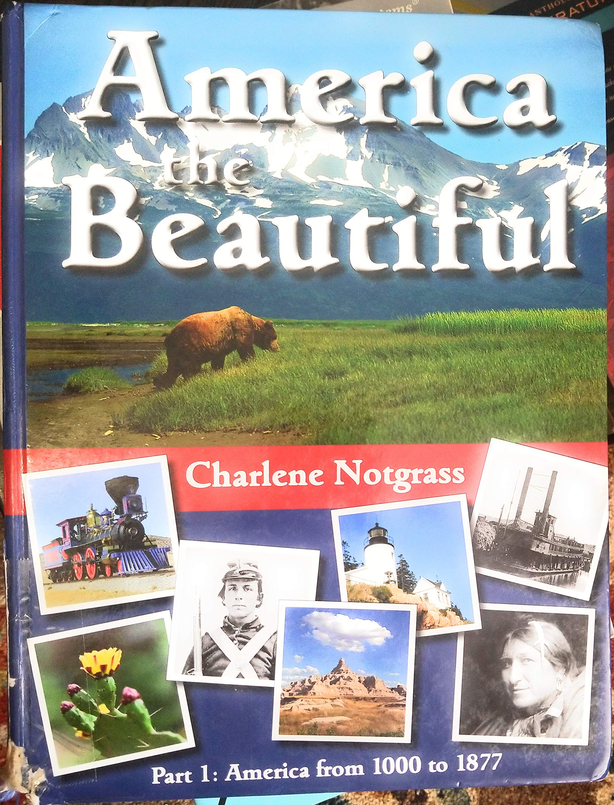 AMERICA THE BEAUTIFUL Part 1: America from 1000 to 1877,Used