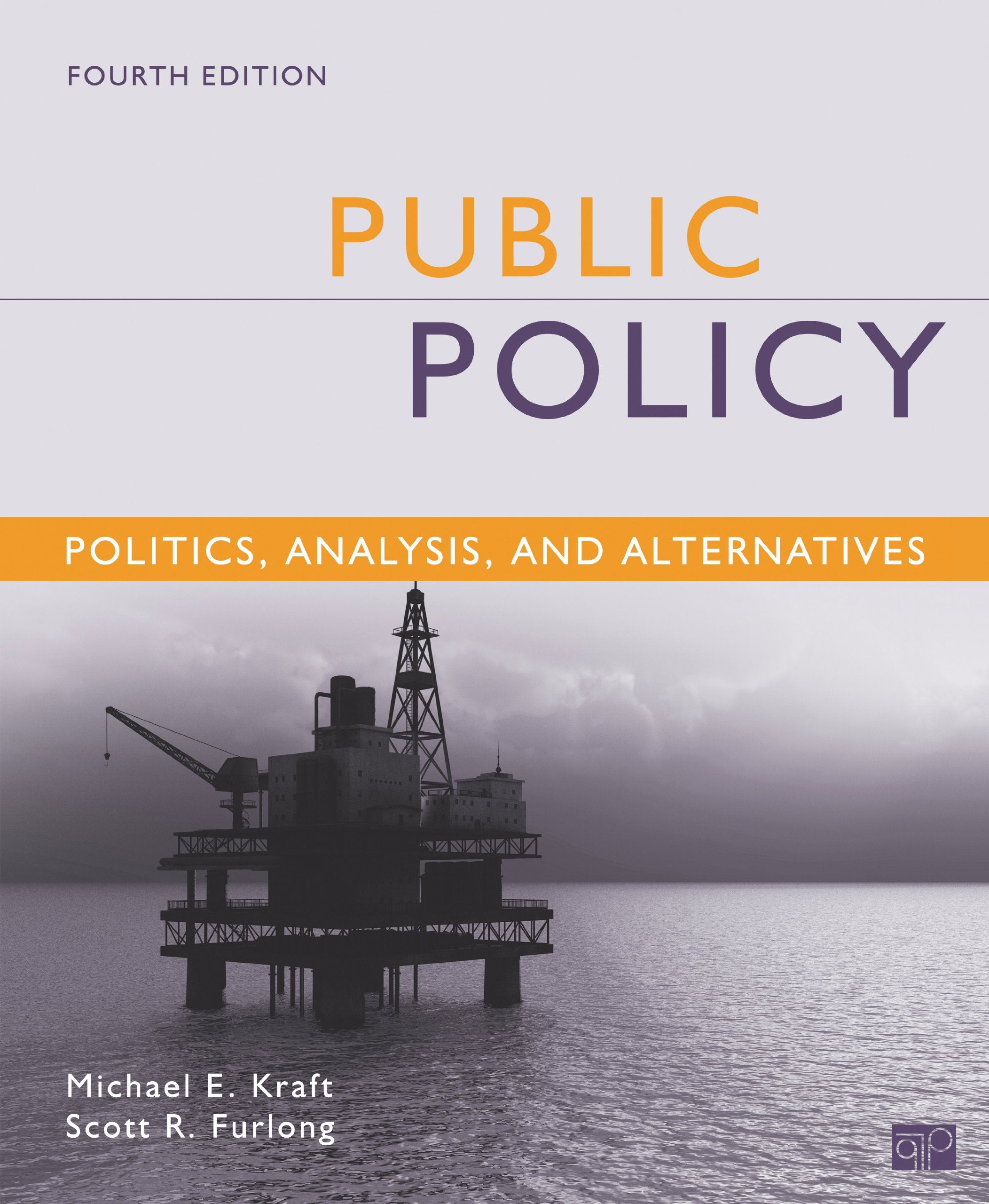 Public Policy: Politics, Analysis, and Alternatives,Used