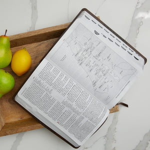 KJV Study Bible, Leathersoft, Red/Pink, Thumb Indexed, Red Letter: Second Edition,Used