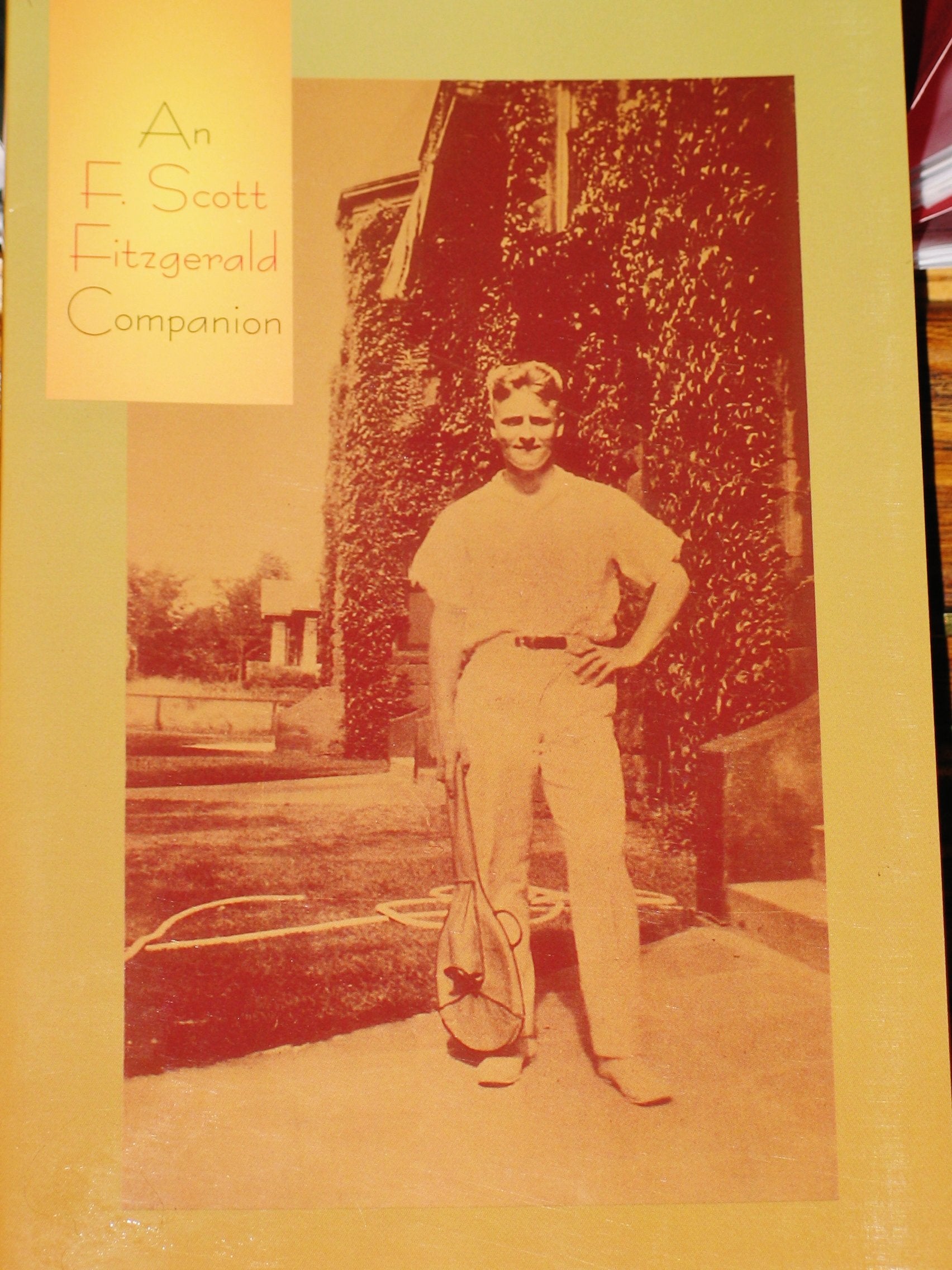 An F. Scott Fitzgerald Companion,Used