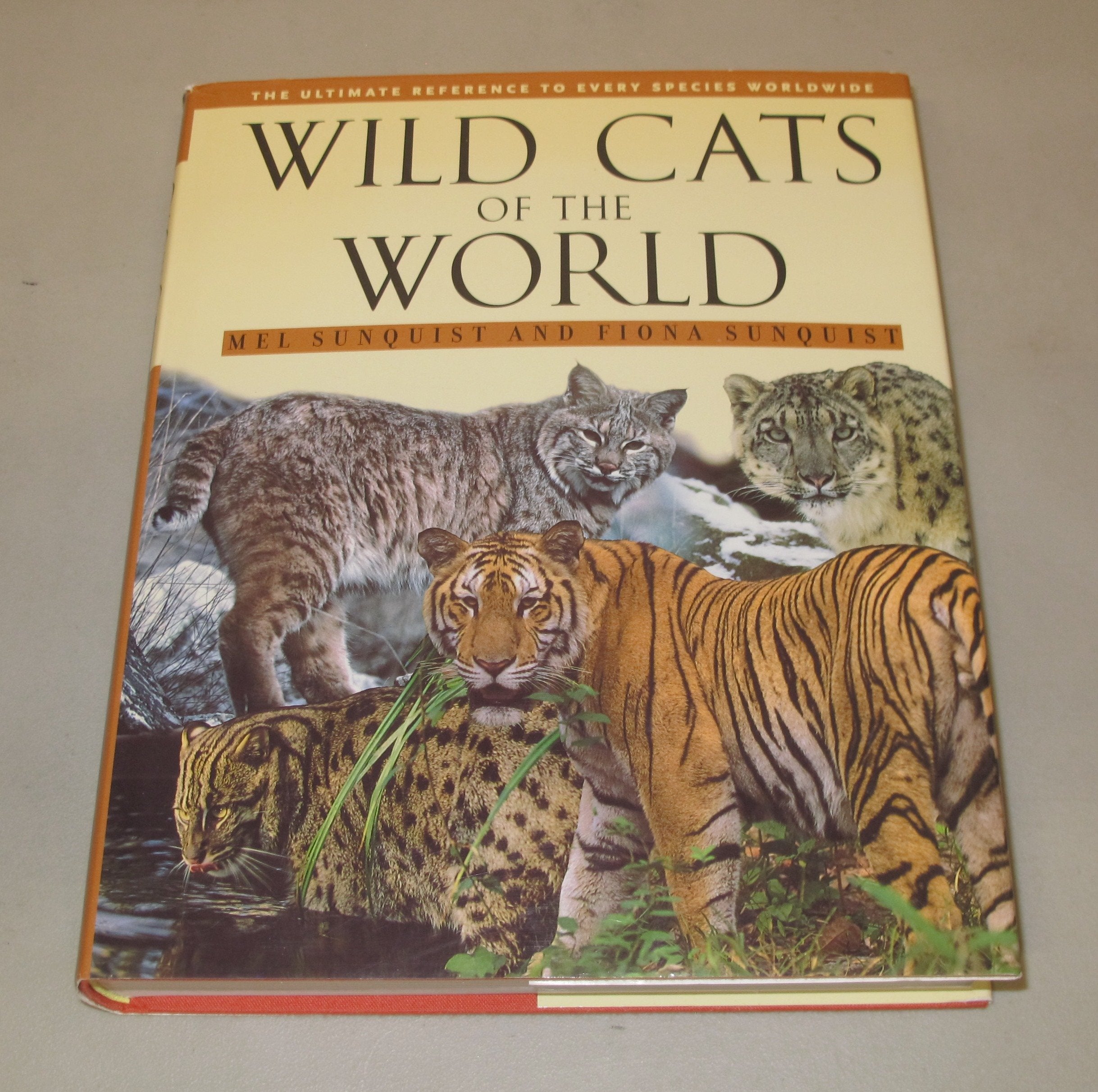 Wild Cats Of The World