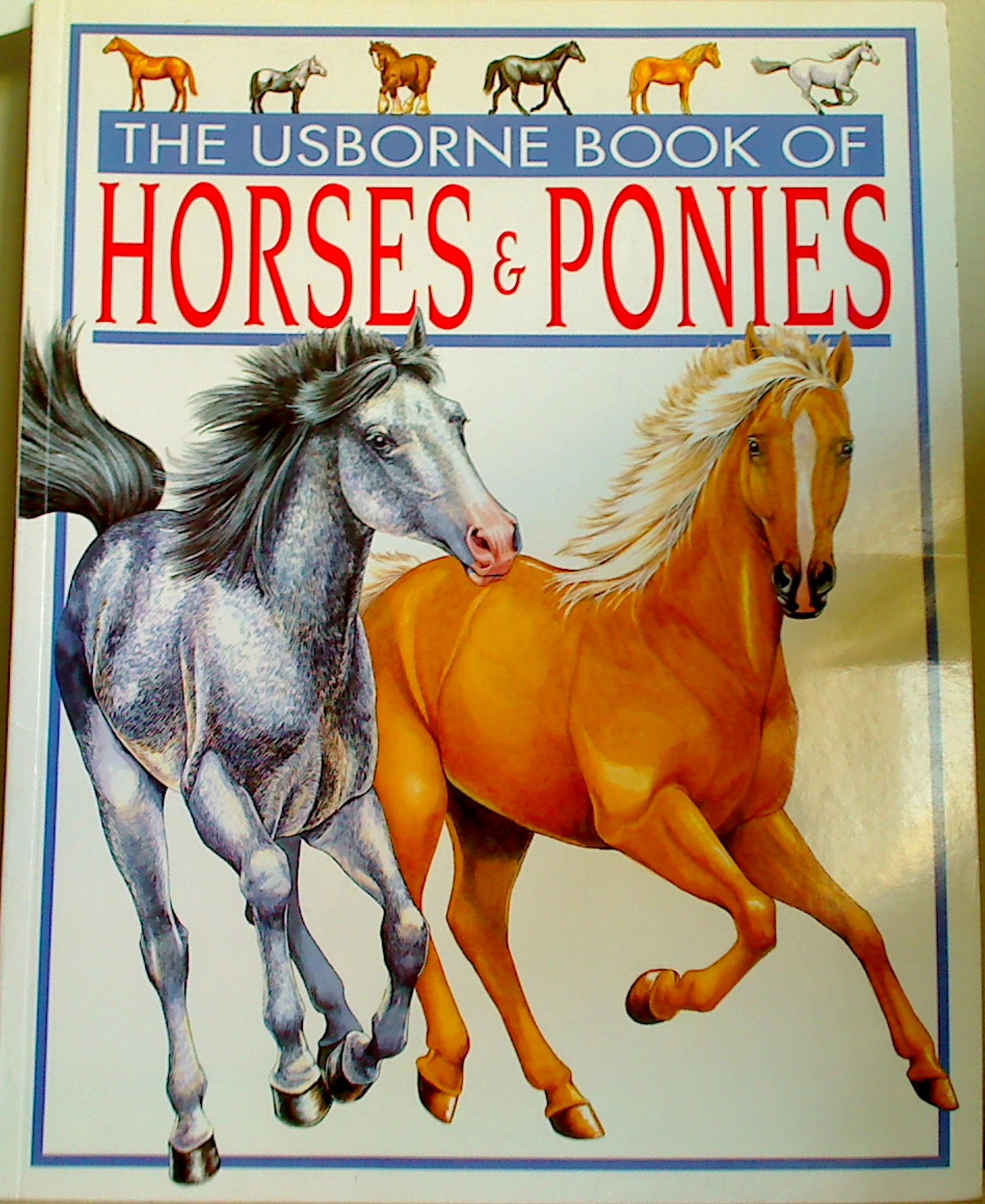 The Usborne Book of Horses & Ponies,Used