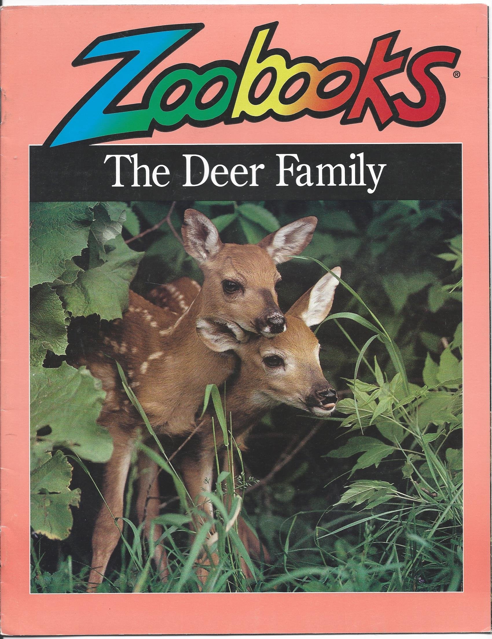 Deer Family (Zoobooks Series),Used