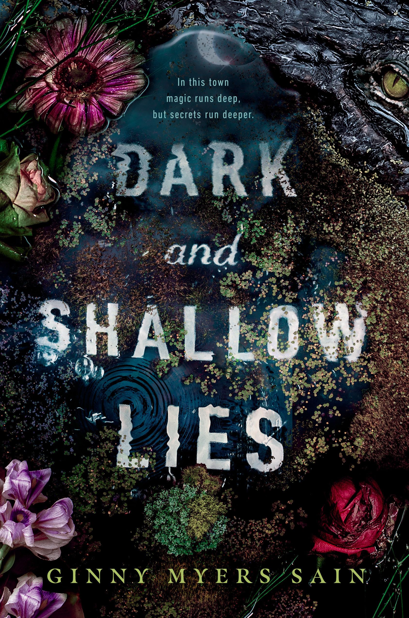 Dark And Shallow Lies,Used