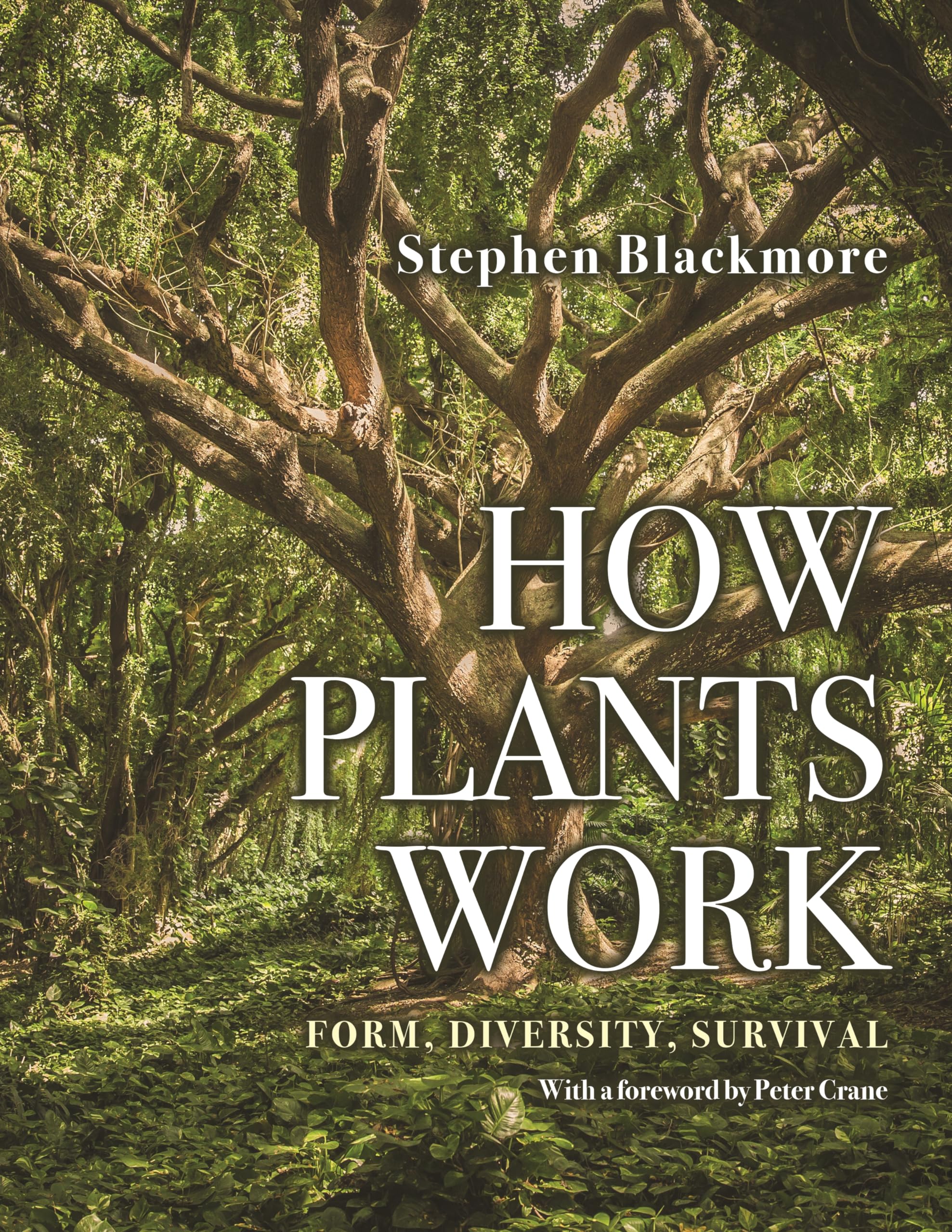 How Plants Work: Form, Diversity, Survival,Used