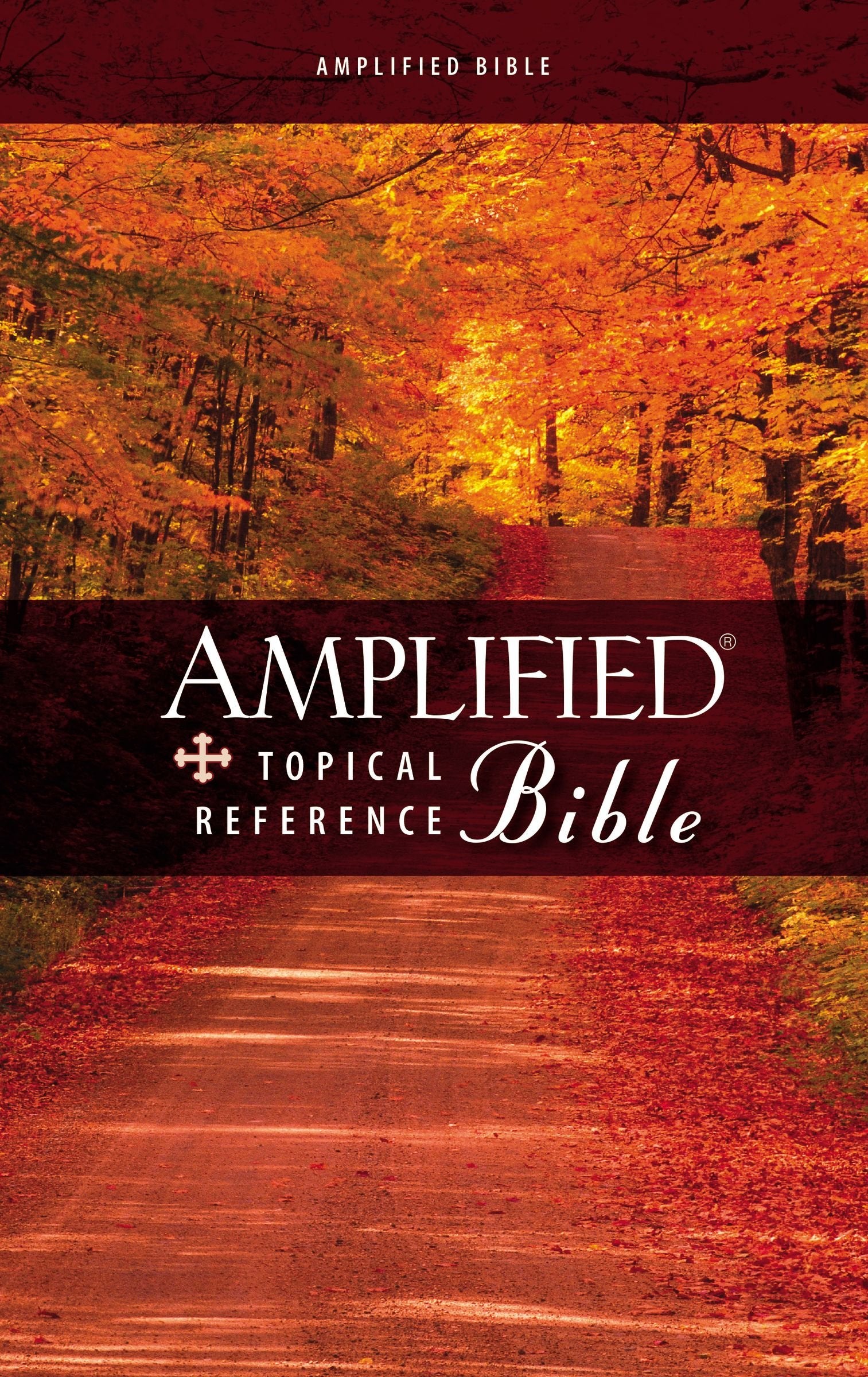 Amplified Topical Reference Bible, Hardcover,Used