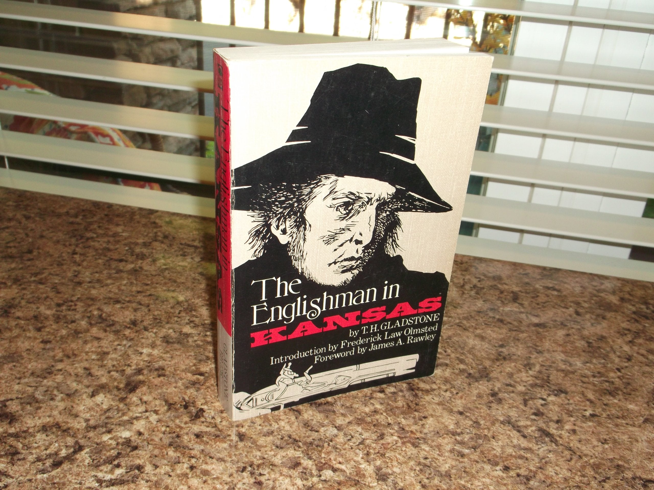 The Englishman in Kansas: Or, Squatter Life and Border Warfare,Used