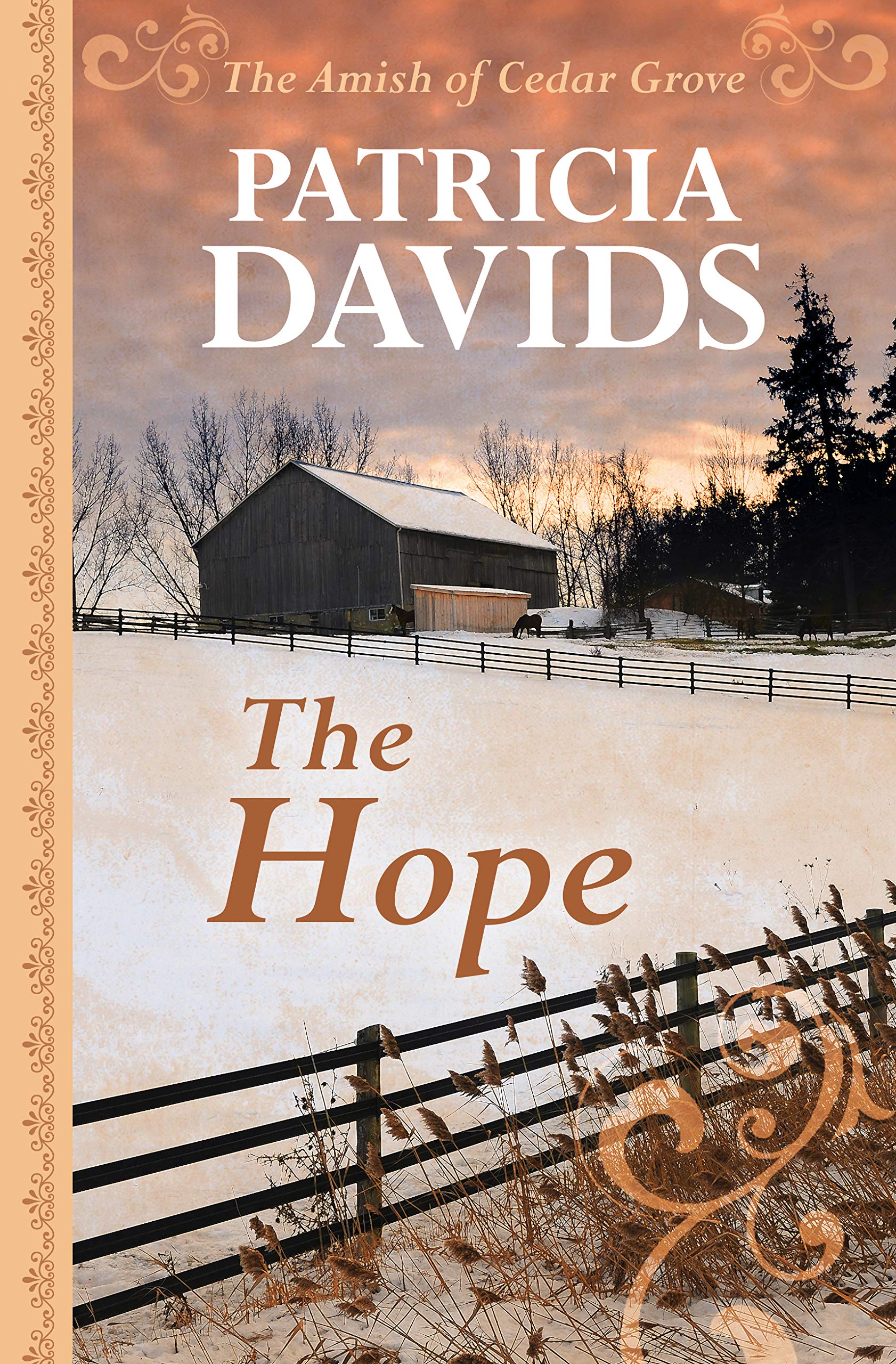 The Hope (The Amish of Cedar Grove (2)),New