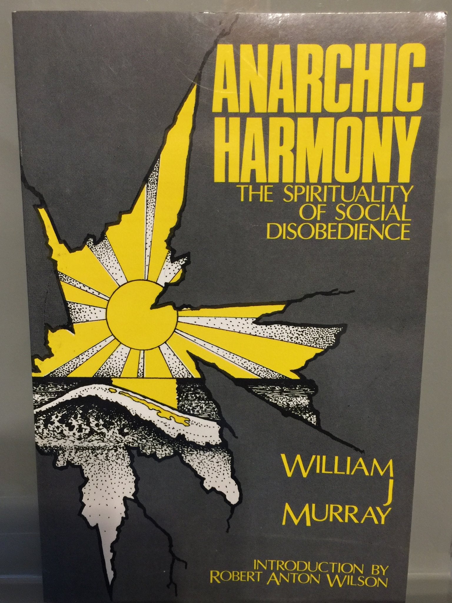 Anarchic Harmony: The Spirituality of Social Disobedience,Used