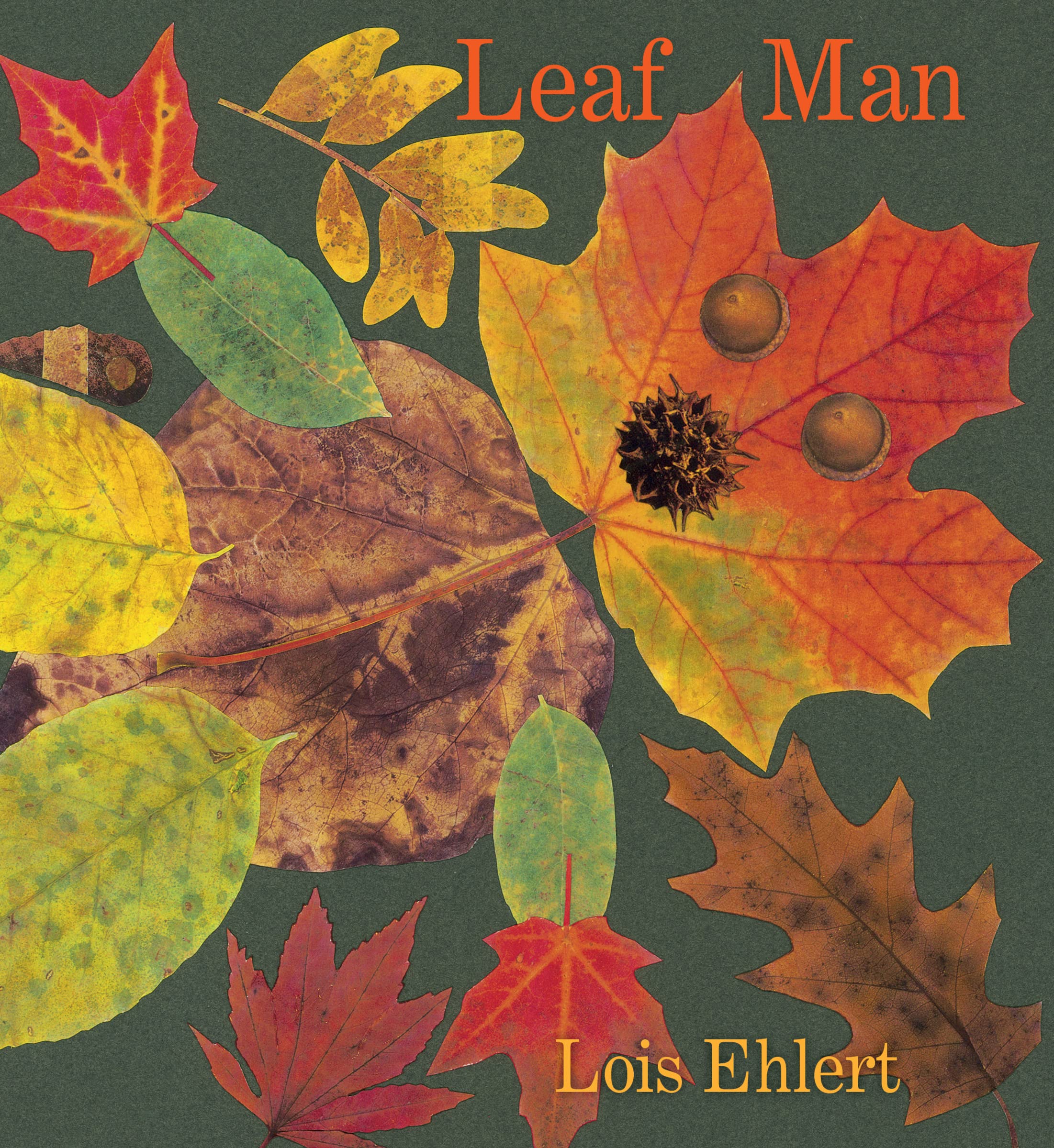 Leaf Man Board Book,Used