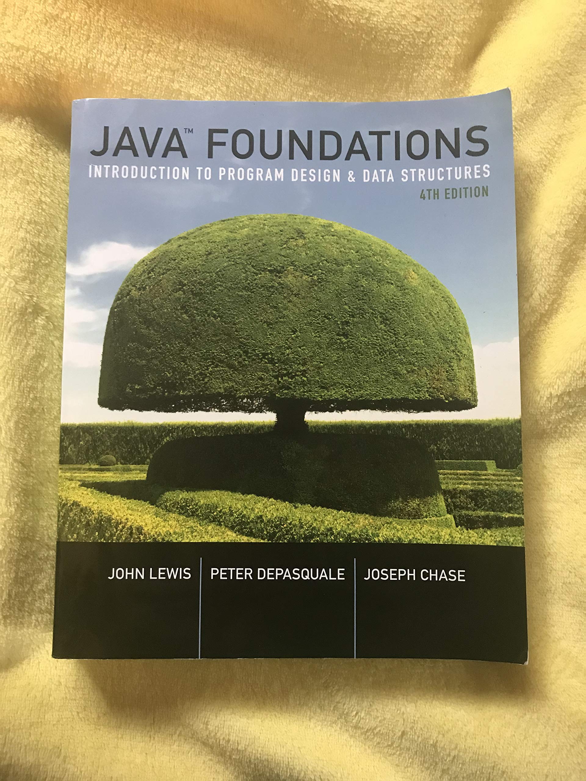 Java Foundations: Introduction to Program Design and Data Structures,Used