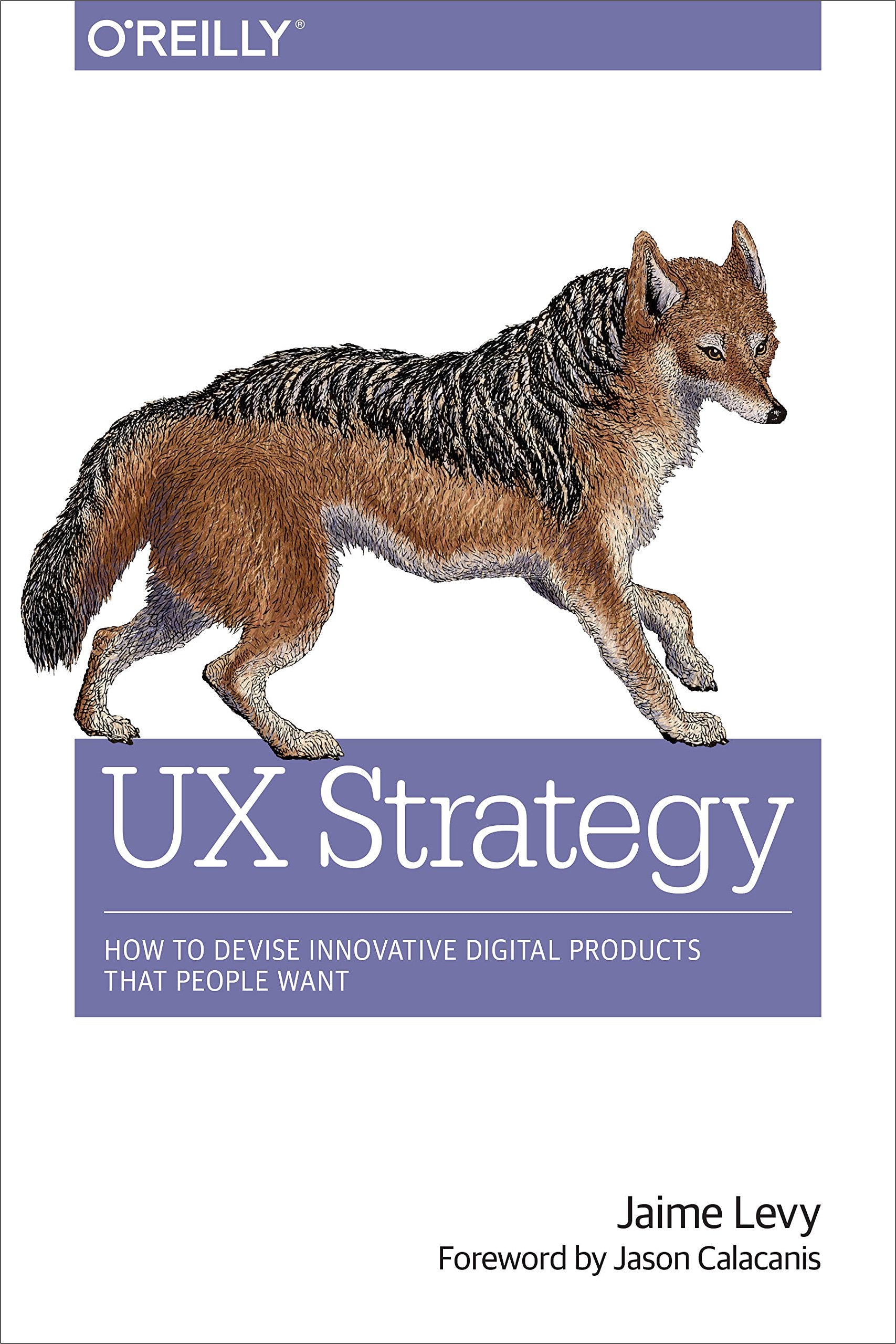 UX Strategy: How to Devise Innovative Digital Products that People Want,New
