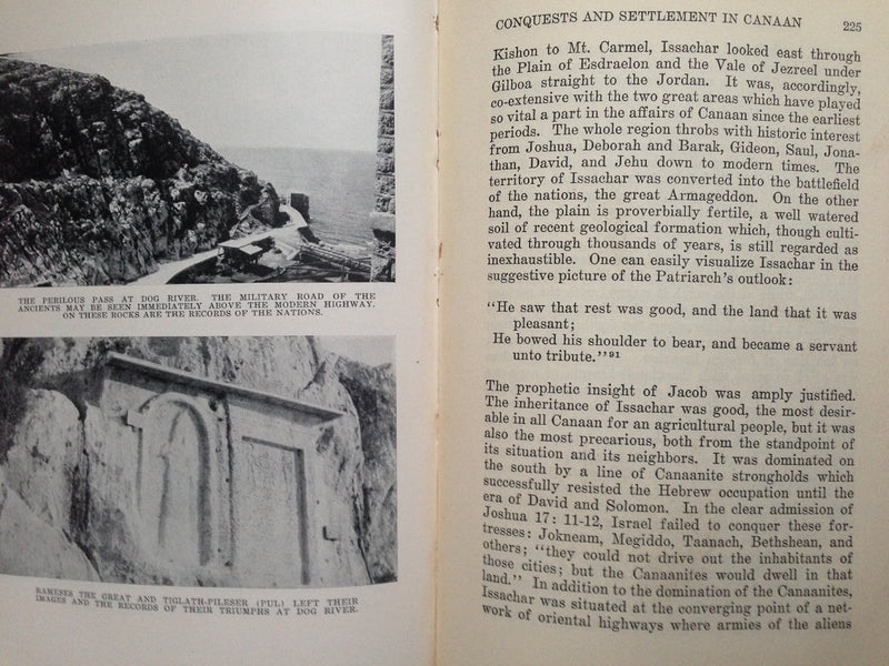 Biblical Backgrounds,Used