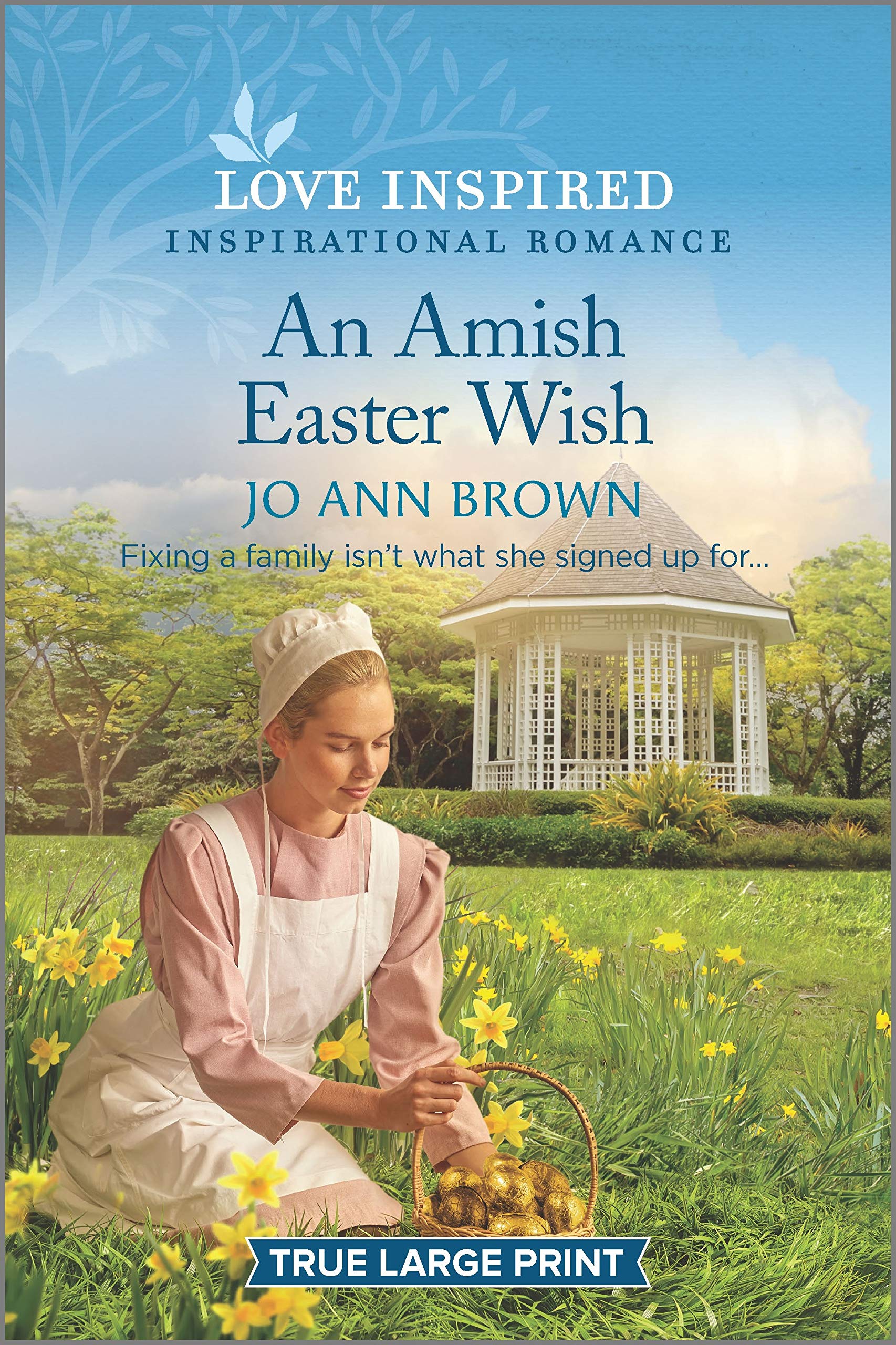 An Amish Easter Wish (Green Mountain Blessings, 2),Used