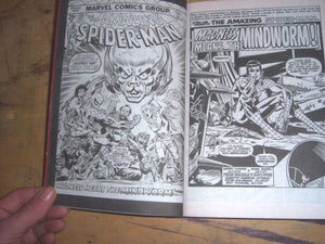 Essential Amazing Spiderman, Vol. 7 (Marvel Essentials),Used