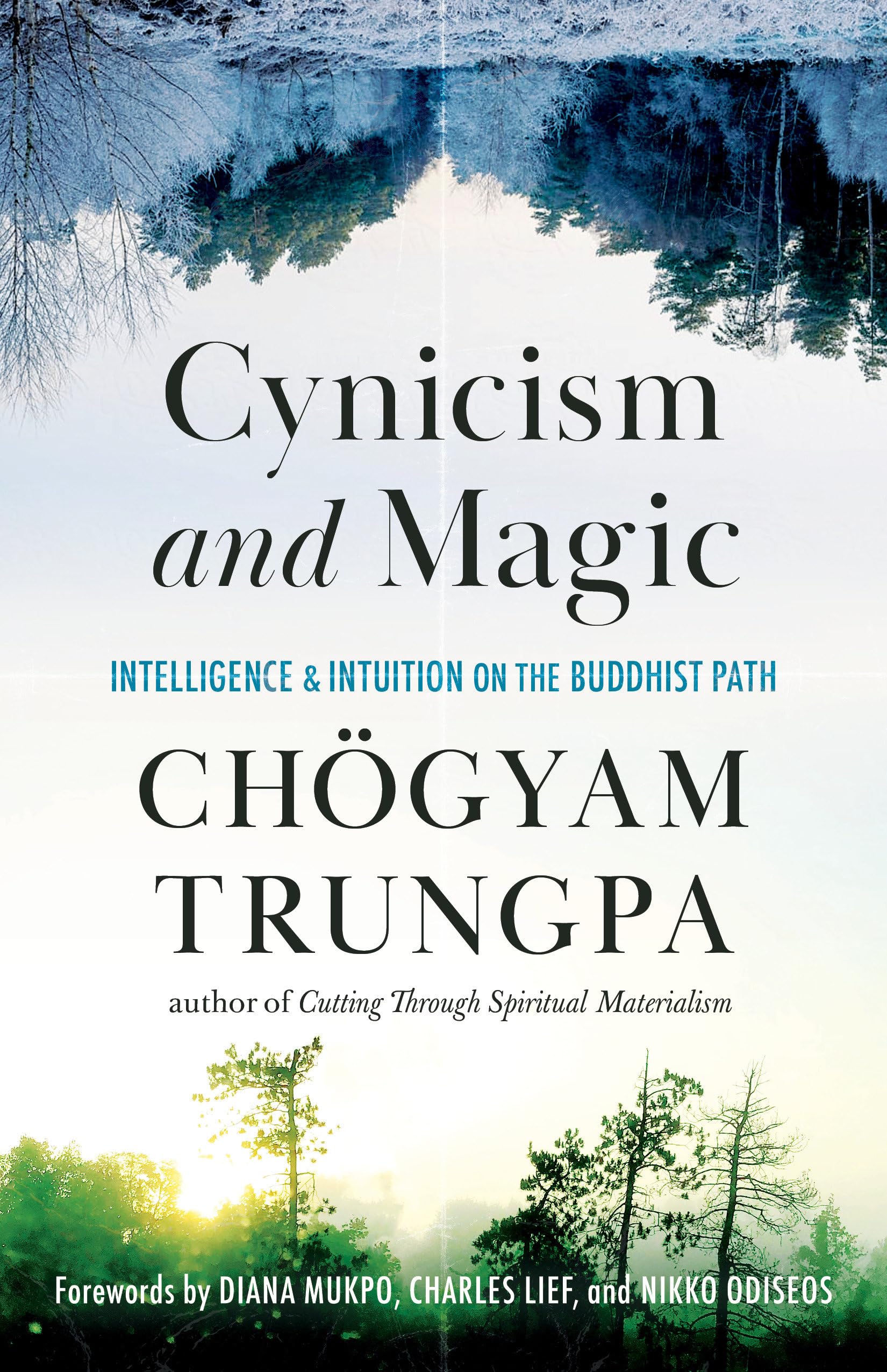 Cynicism And Magic: Intelligence And Intuition On The Buddhist Path-new