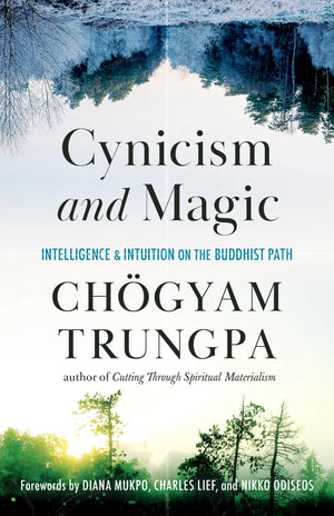 Cynicism and Magic: Intelligence and Intuition on the Buddhist Path,Used