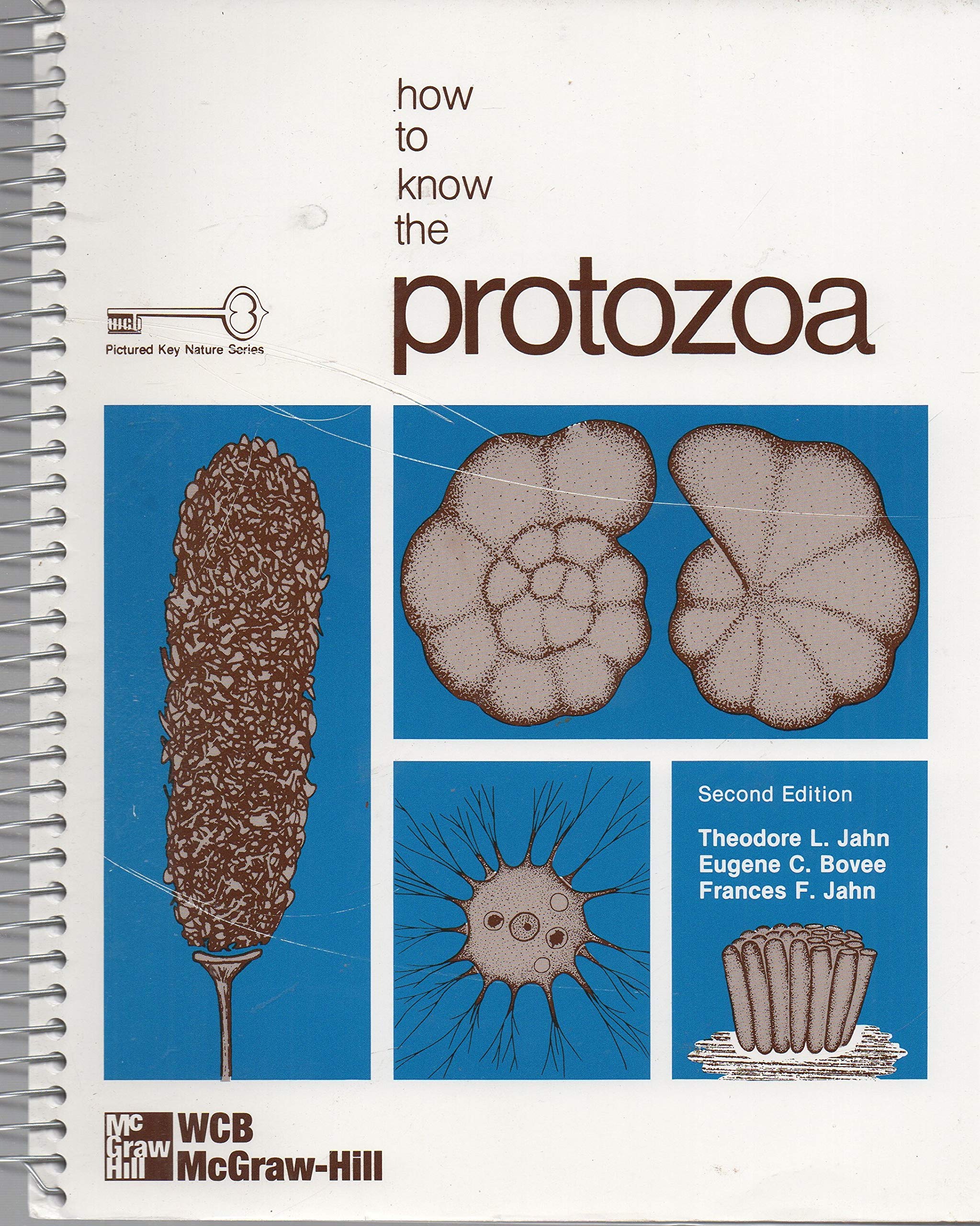 How to Know the Protozoa (The Pictured Key Nature Series),Used
