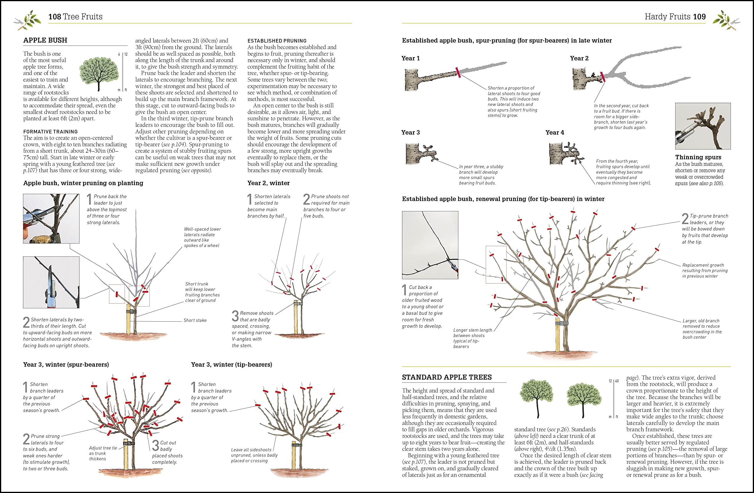 Pruning and Training, Revised New Edition: What, When, and How to Prune,Used