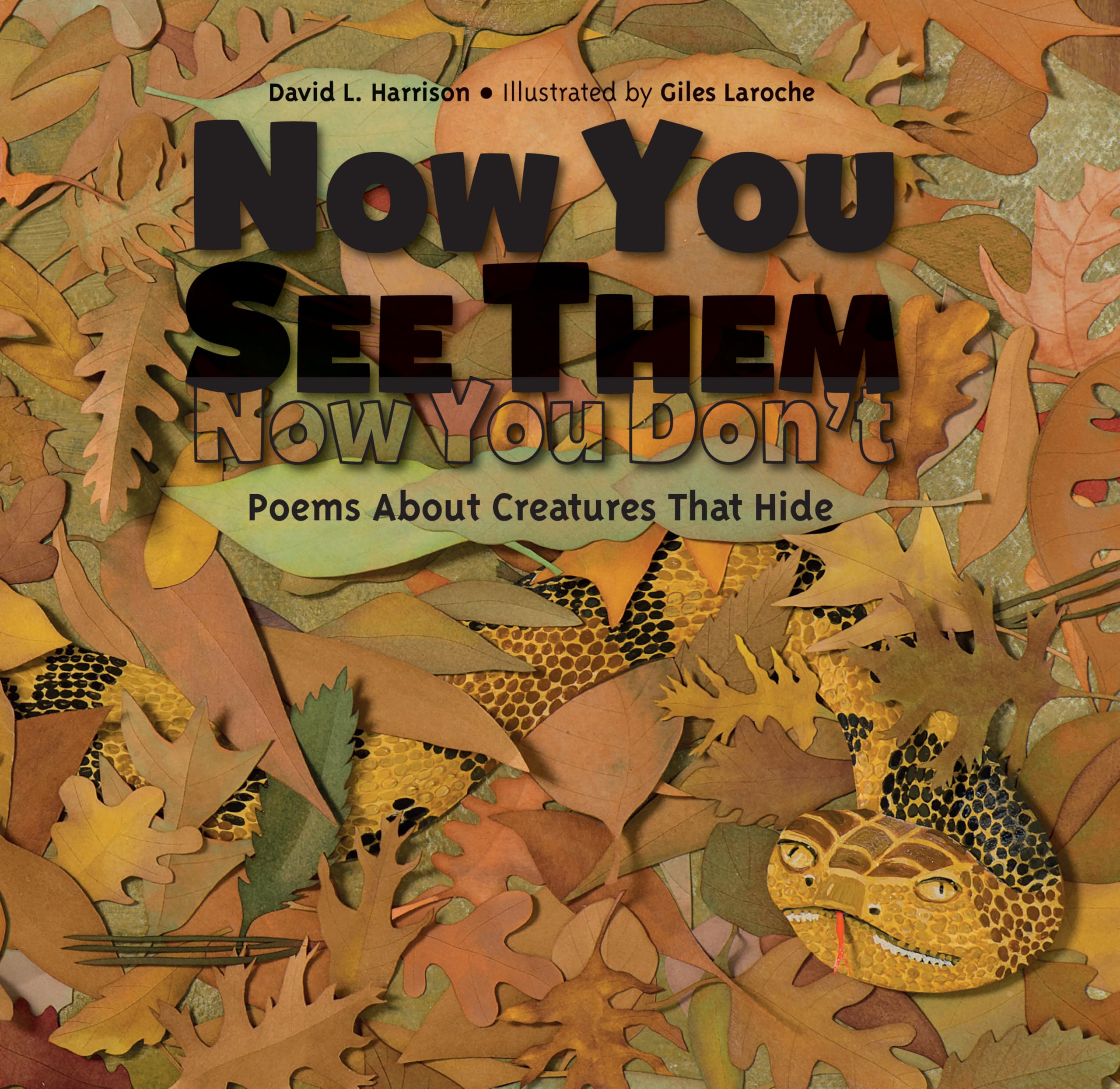 Now You See Them, Now You DonT: Poems About Creatures That Hide