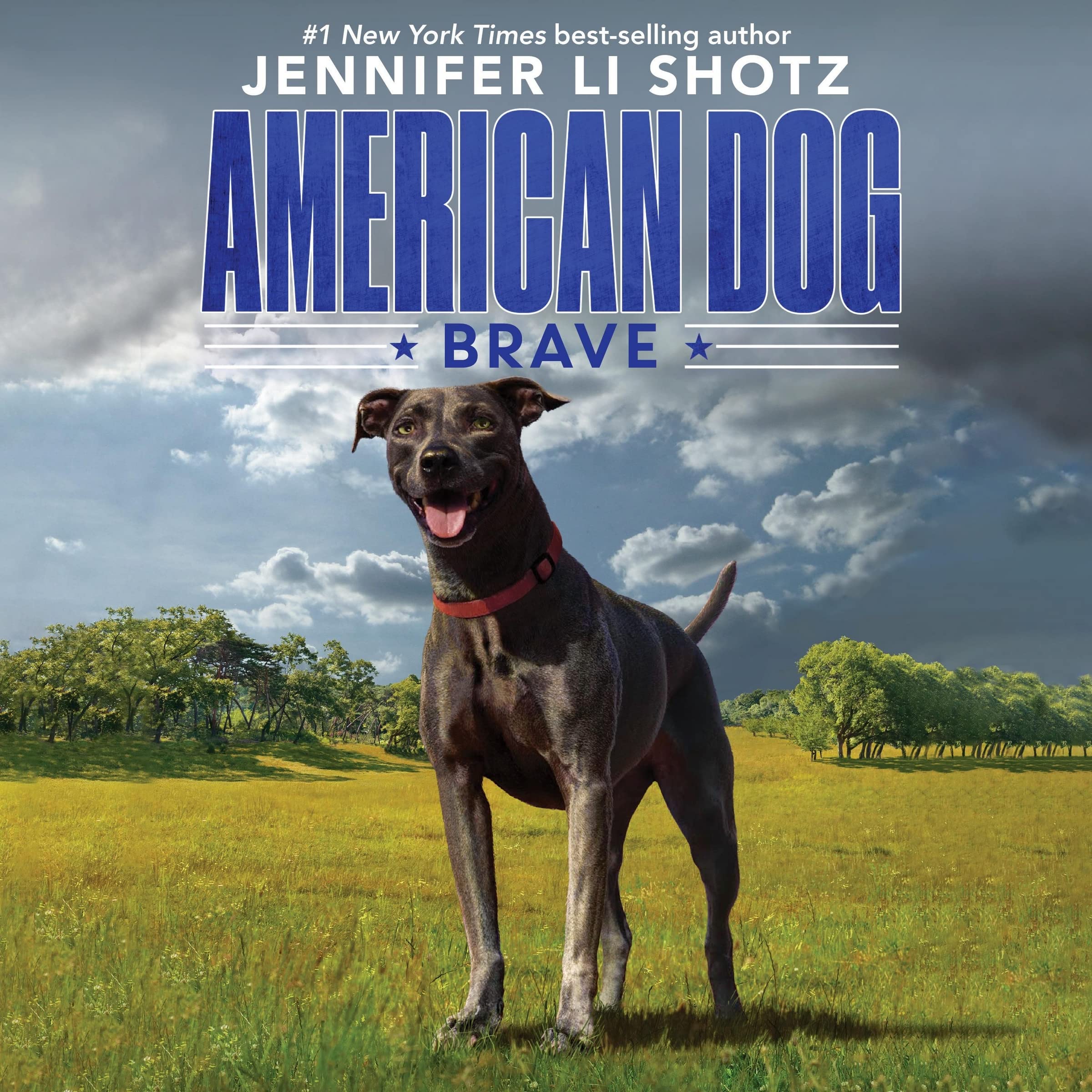 Brave (American Dog Series, Book 1) (American Dog Series, 1),Used