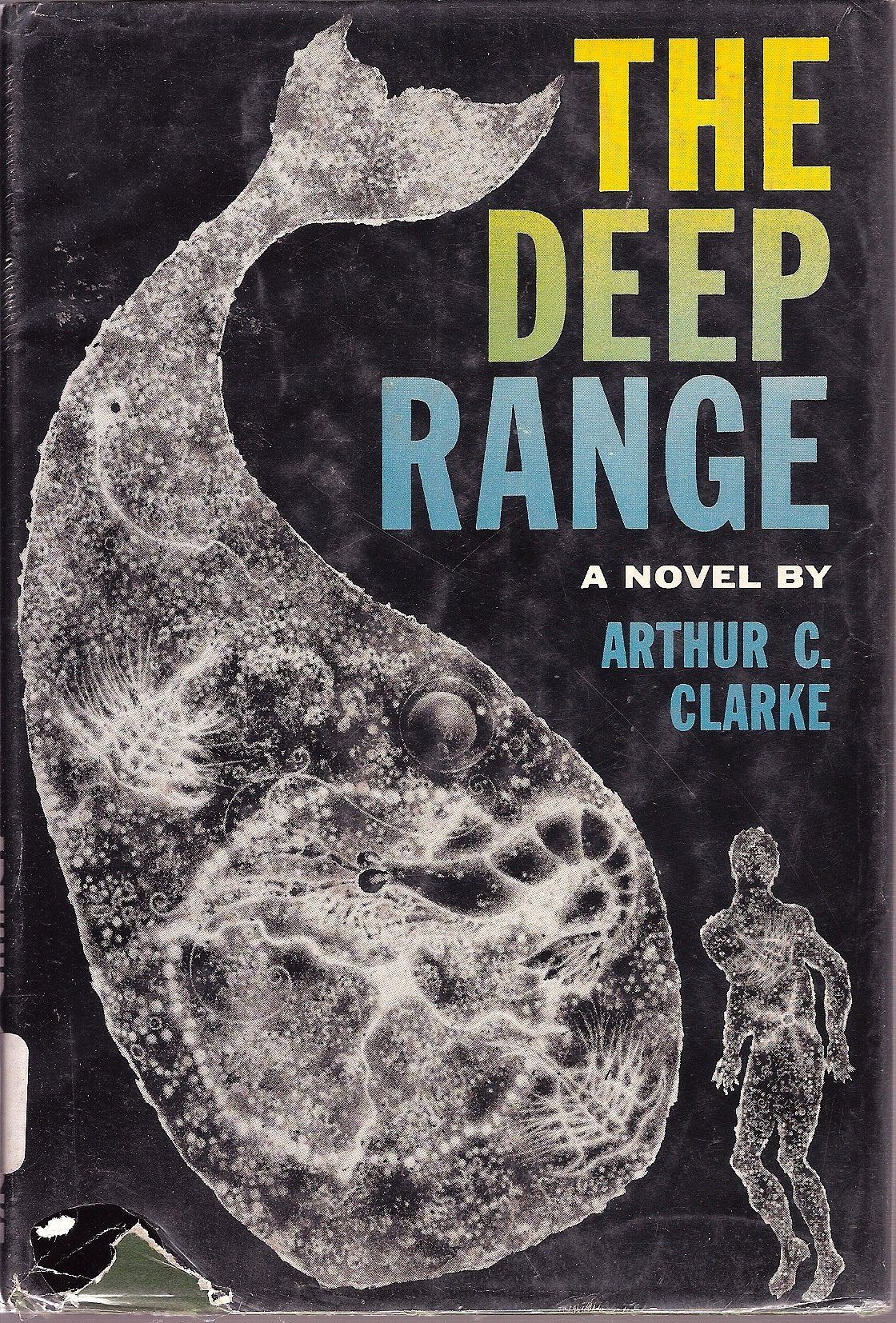 The Deep Range,Used