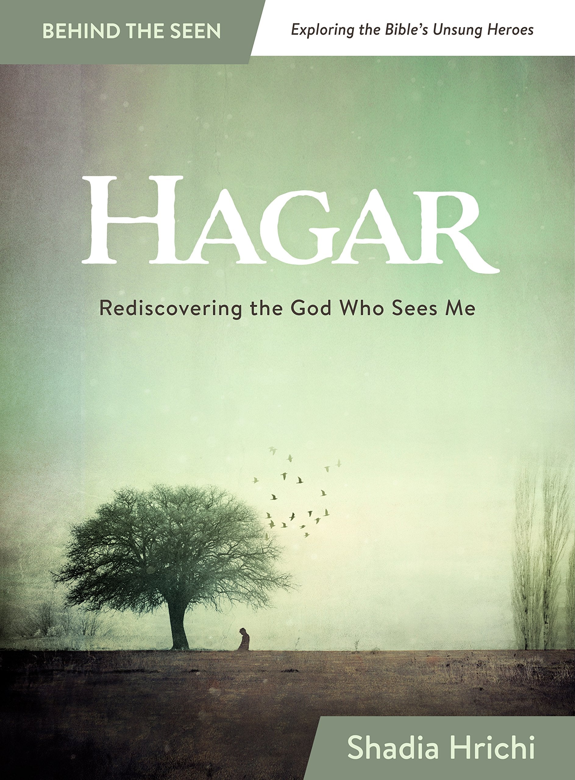 Hagar: Rediscovering the God Who Sees Me (Bible Study) (Behind the Seen: Exploring the Bible's Unsung Heroes),Used