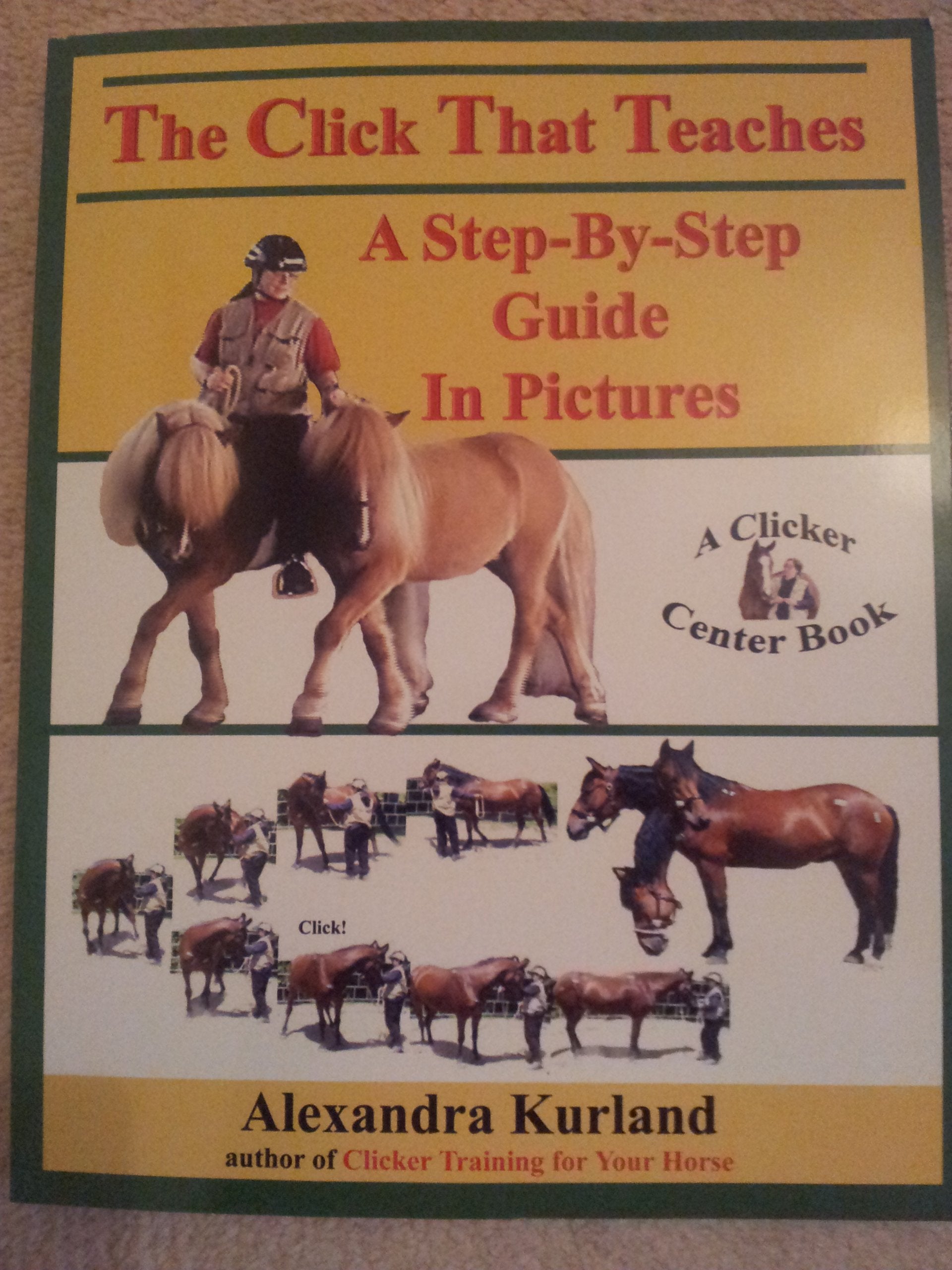 The Click That Teaches: A Stepbystep Guide In Pictures,Used